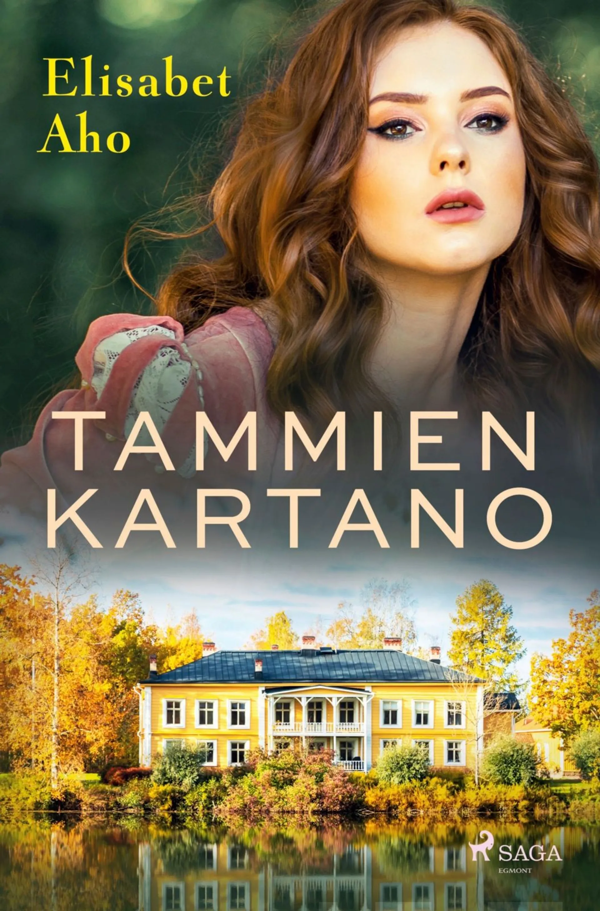 Aho, Tammien kartano