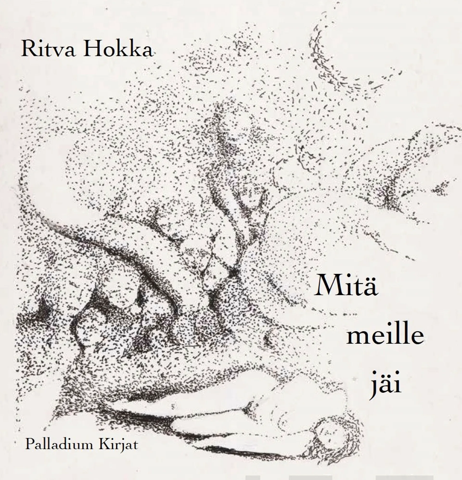 Hokka, Mitä meille jäi