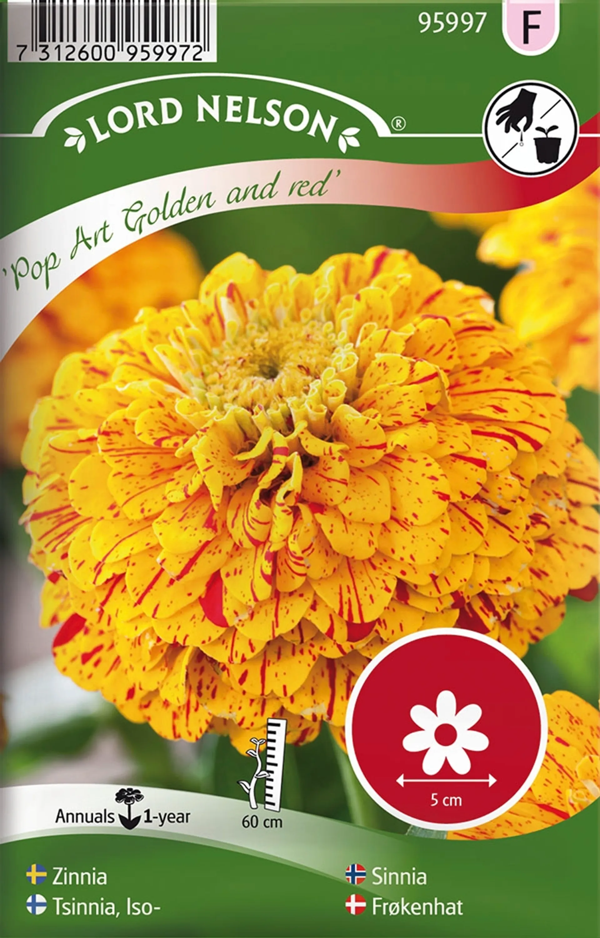 Nelson Garden Siemen Tsinnia, Iso-, Pop Art Gold & Red