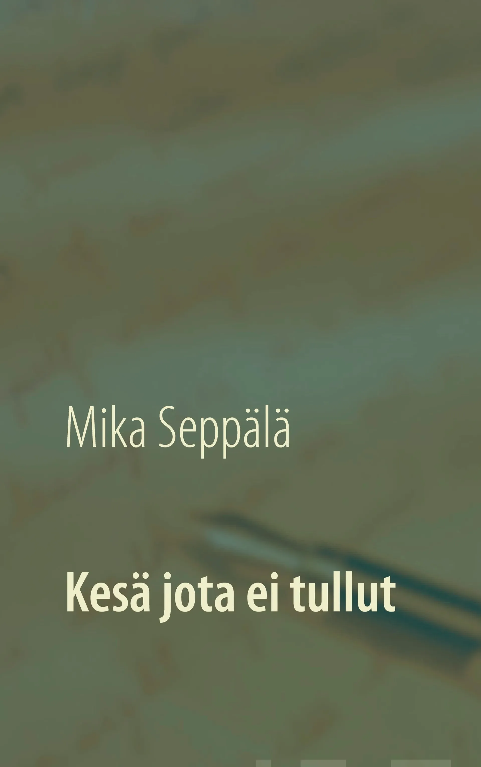 Seppälä, Kesä jota ei tullut - Ajatuksia