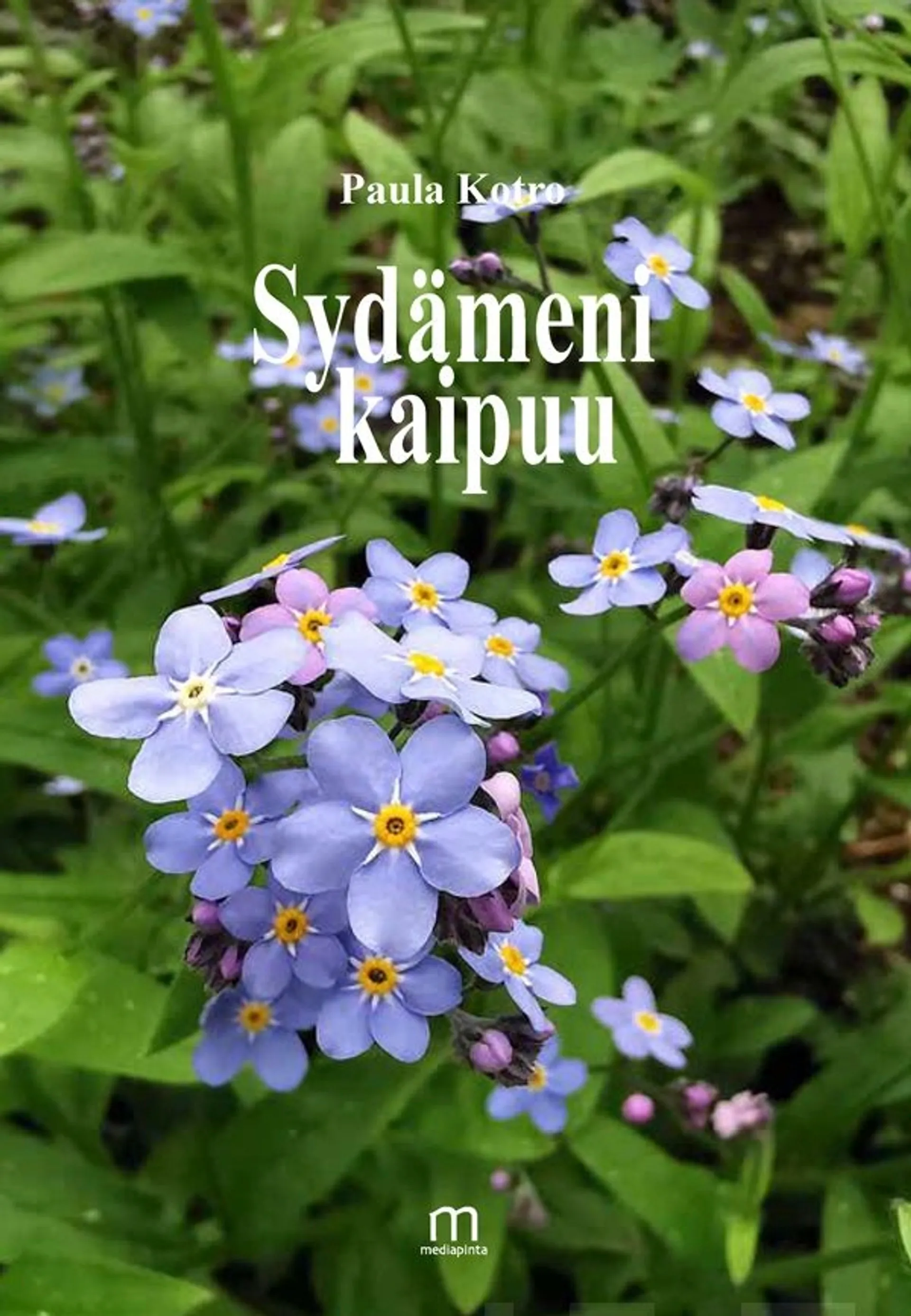 Kotro, Sydämeni kaipuu