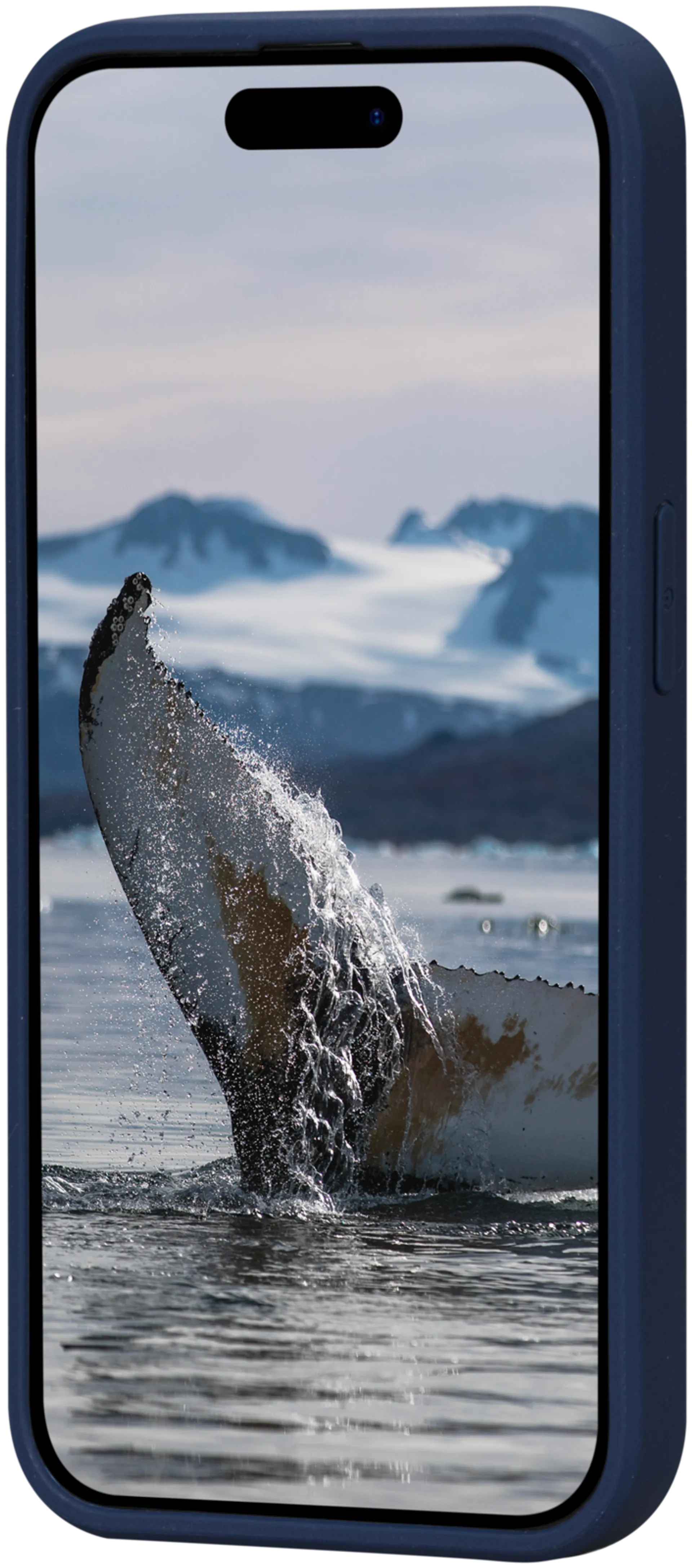 Dbramante iPhone 15 Pro Greenland suojakuori - 4