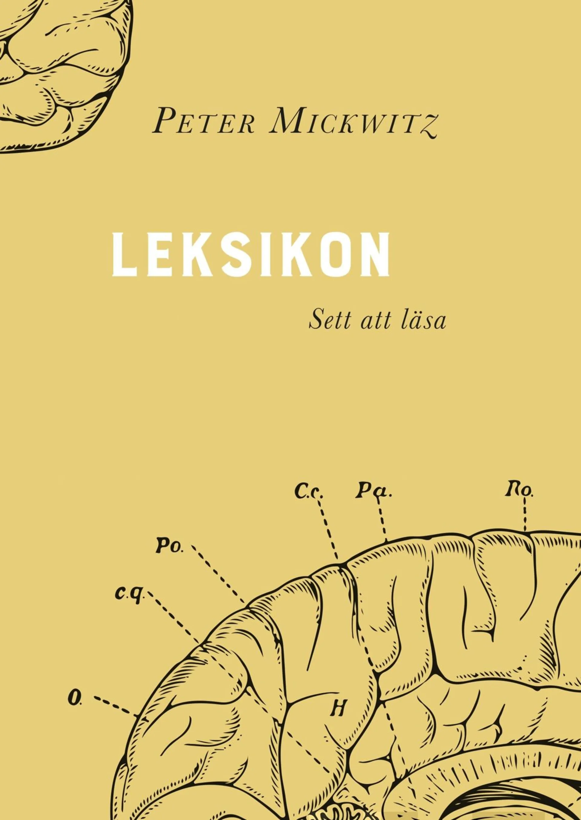 Mickwitz, Leksikon - Sett att läsa