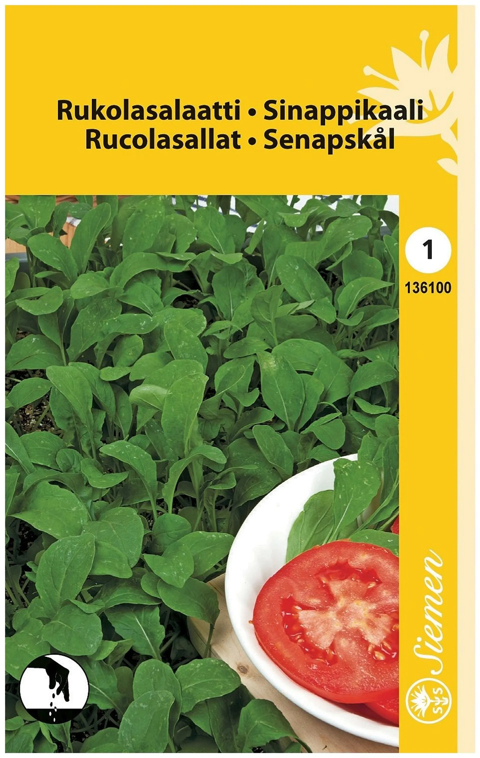 Rucola-Salaatti