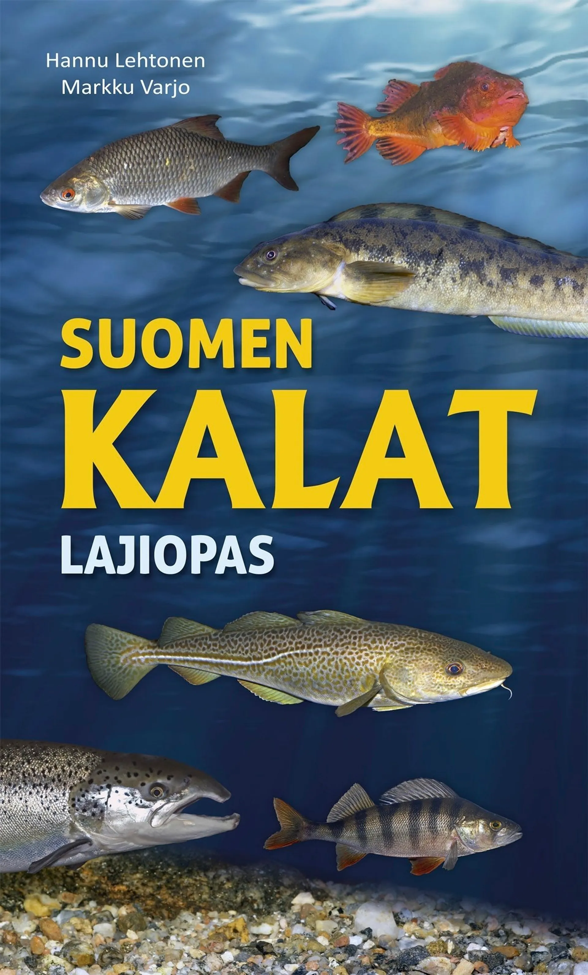 Lehtonen, Suomen kalat - Lajiopas