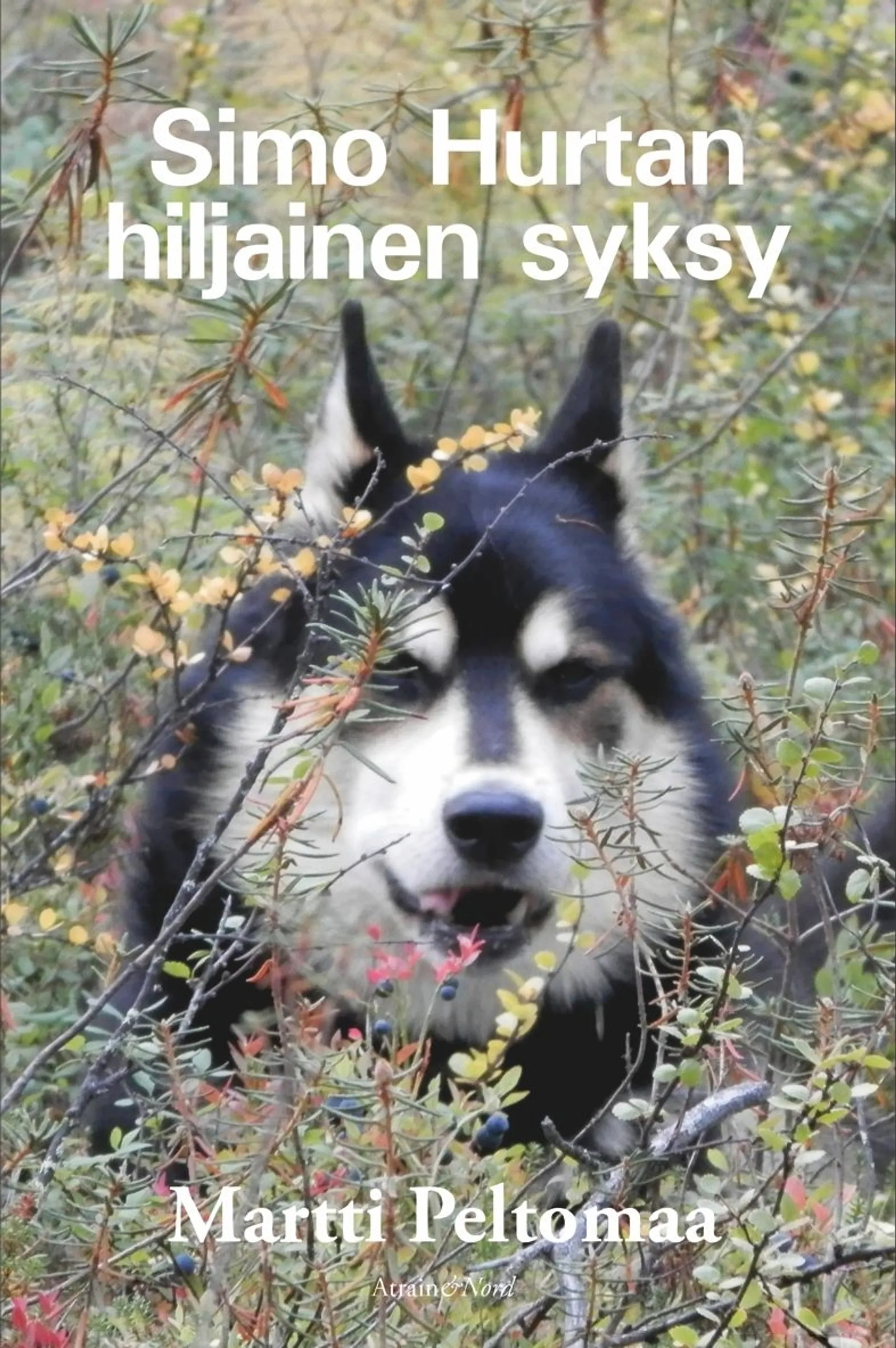 Simo Hurtan hiljainen syksy