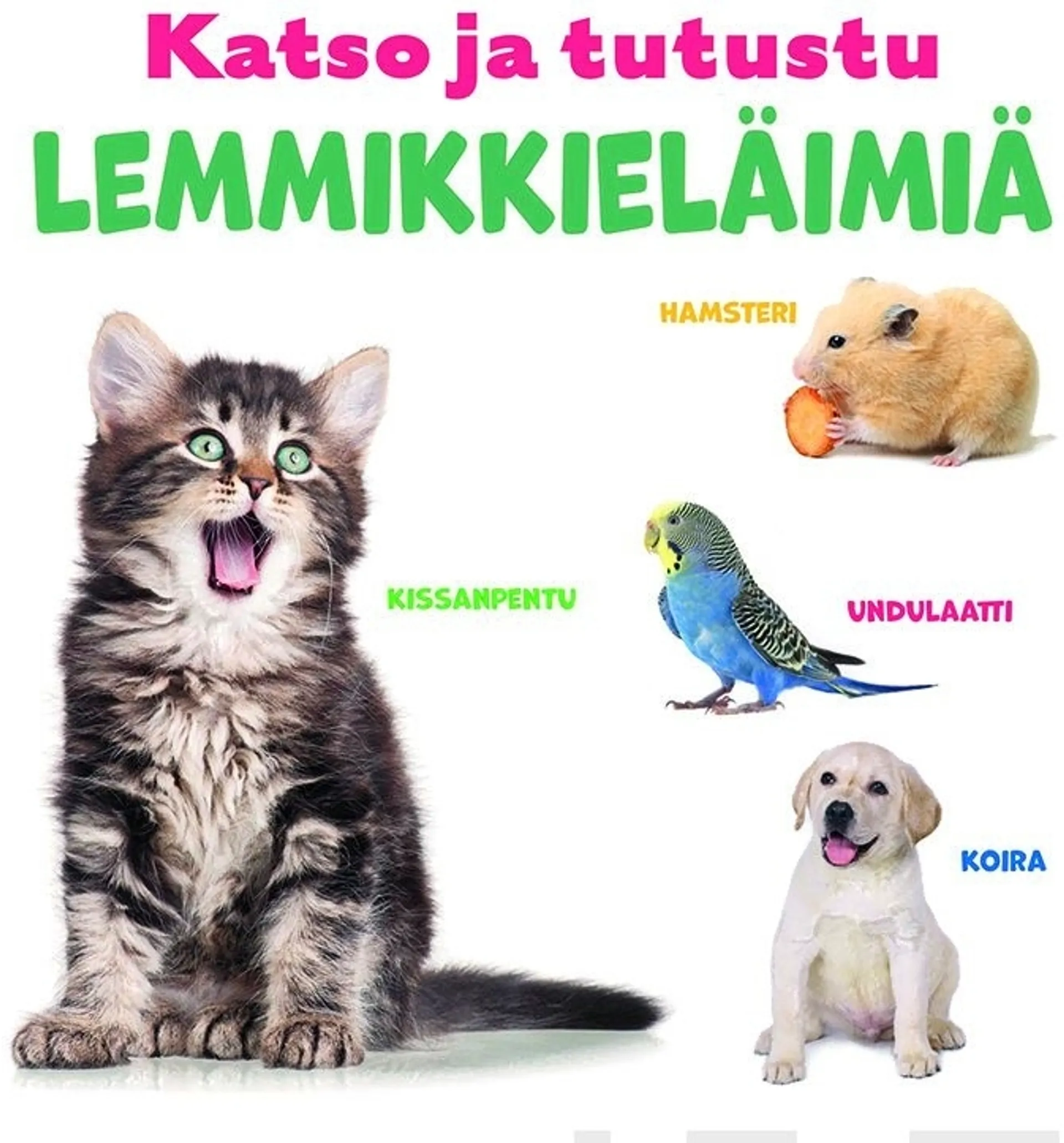 Katso ja tutustu: Lemmikkieläimiä