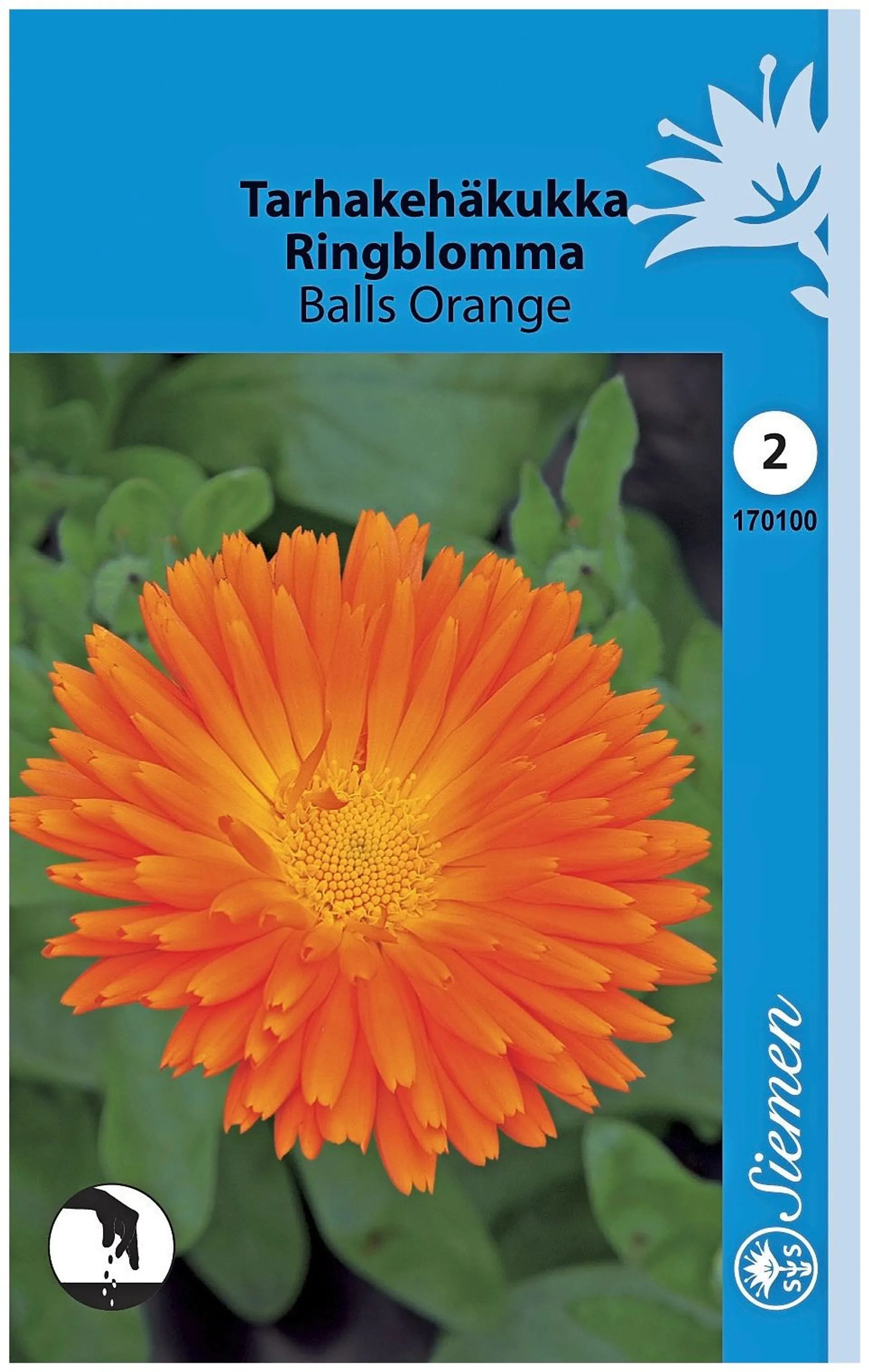 Tarhakehäkukka Oranssi Balls Orange