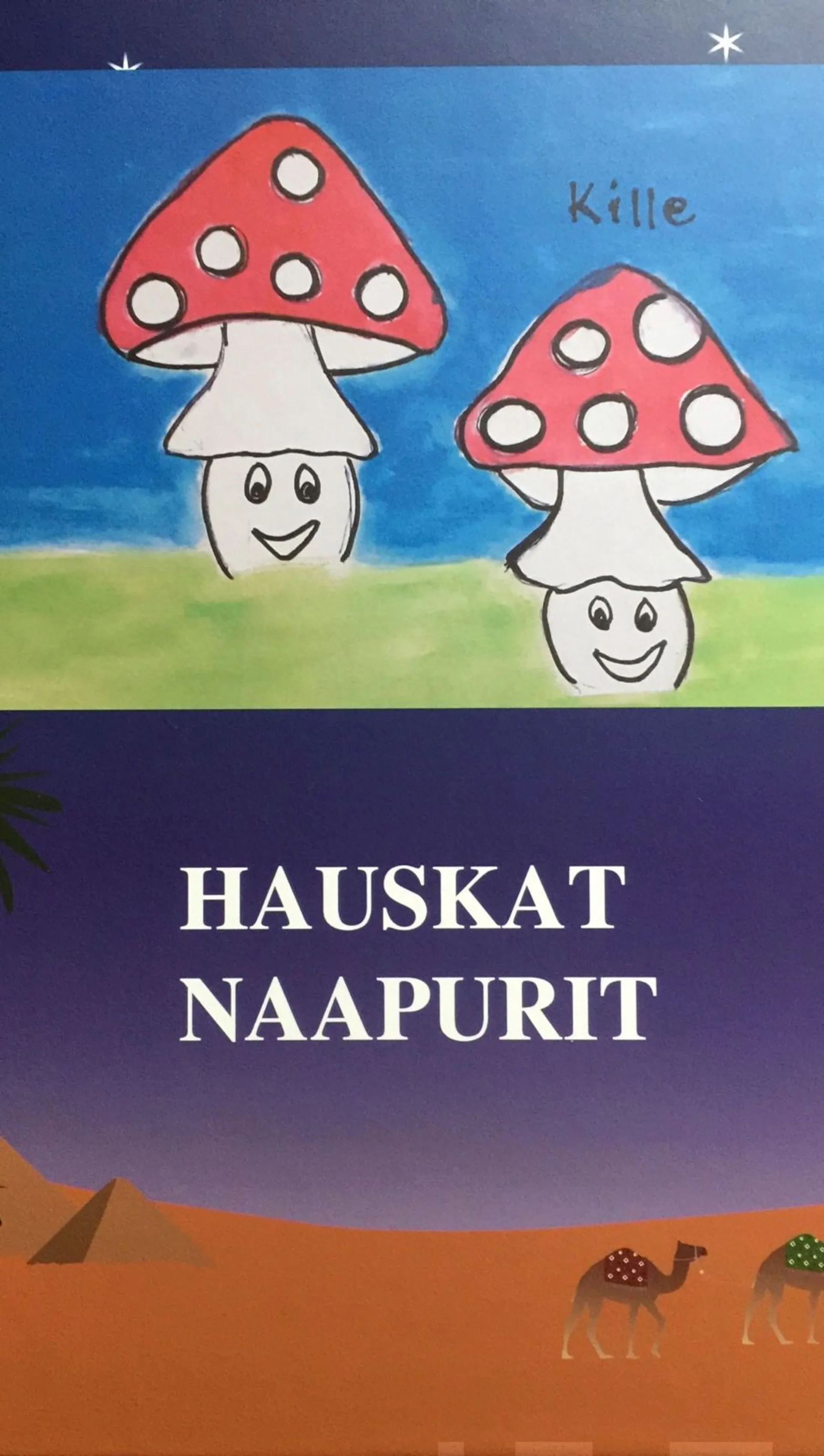 Virtanen-Badoi, Hauskat naapurit