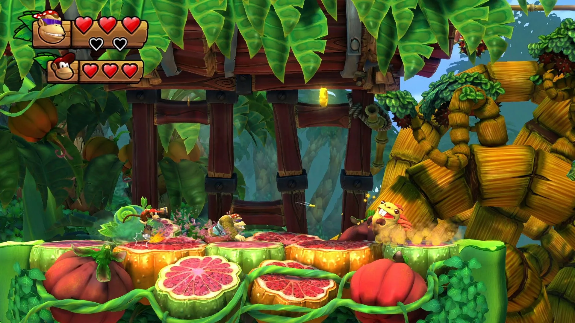 Nintendo Switch Donkey Kong Country: Tropical Freeze - 5