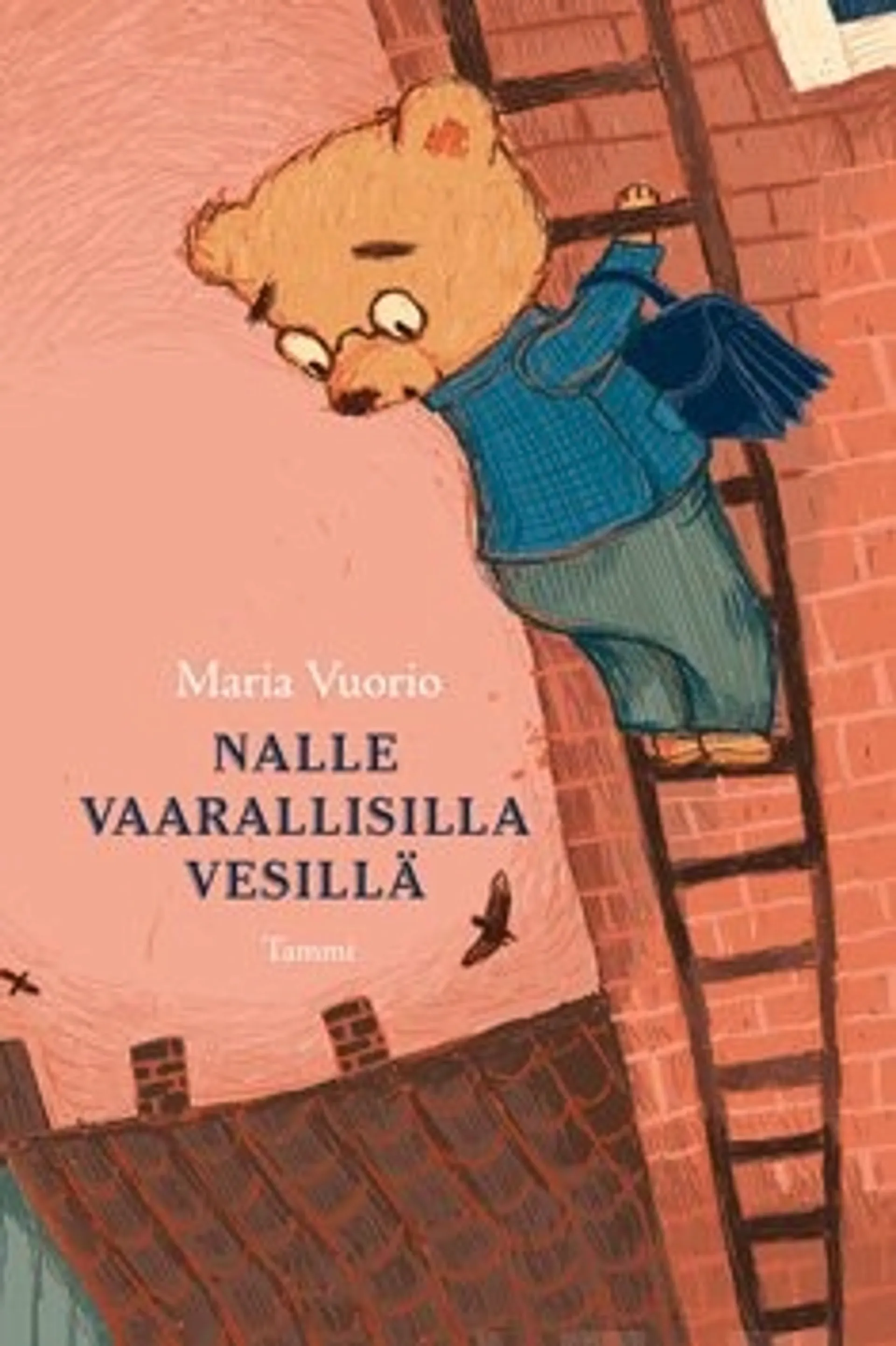 Nalle vaarallisilla vesillä