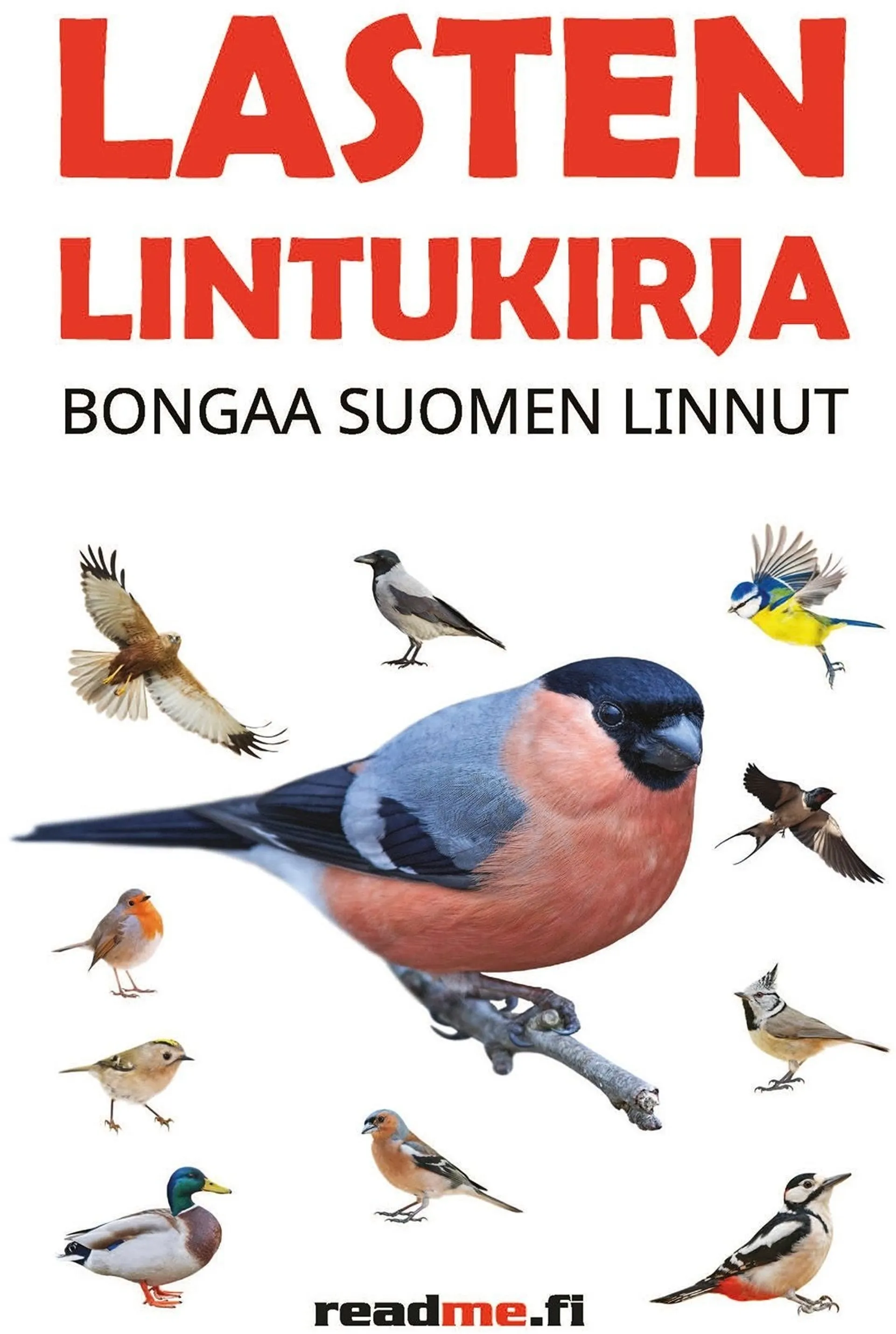 Ovaskainen, Lasten lintukirja - Bongaa Suomen linnut
