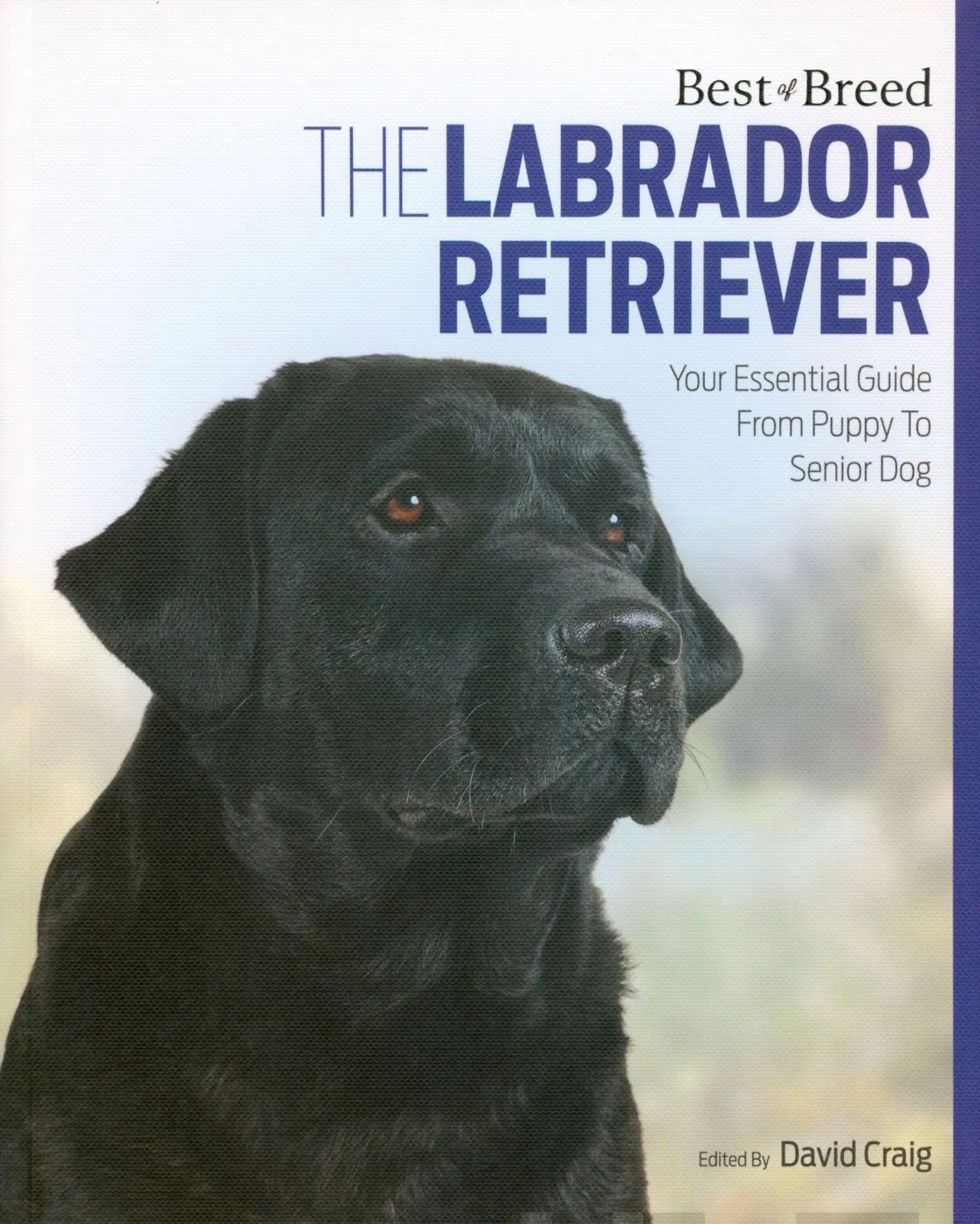 Craig, The Labrador Retriever - Your Essential Guide From Puppy to Senior Dog