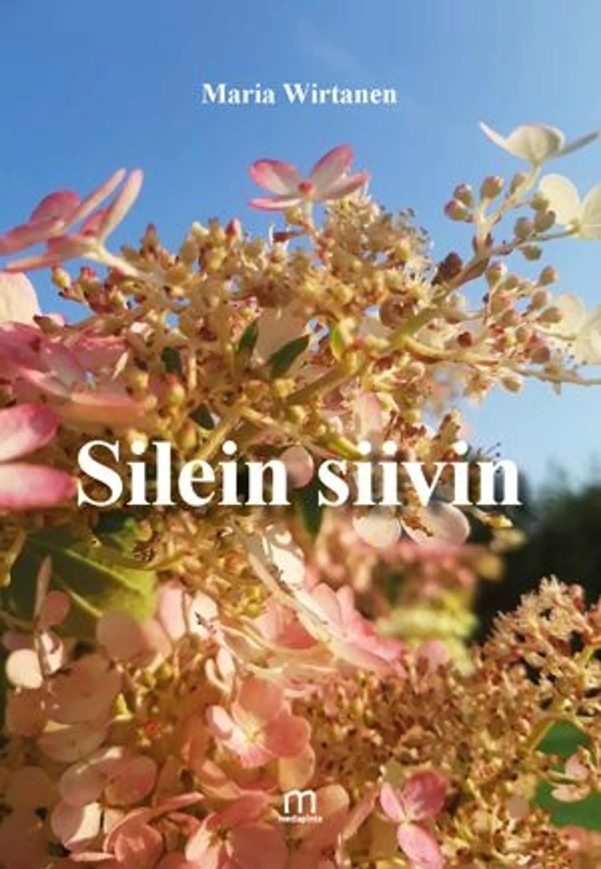 Wirtanen, Silein siivin