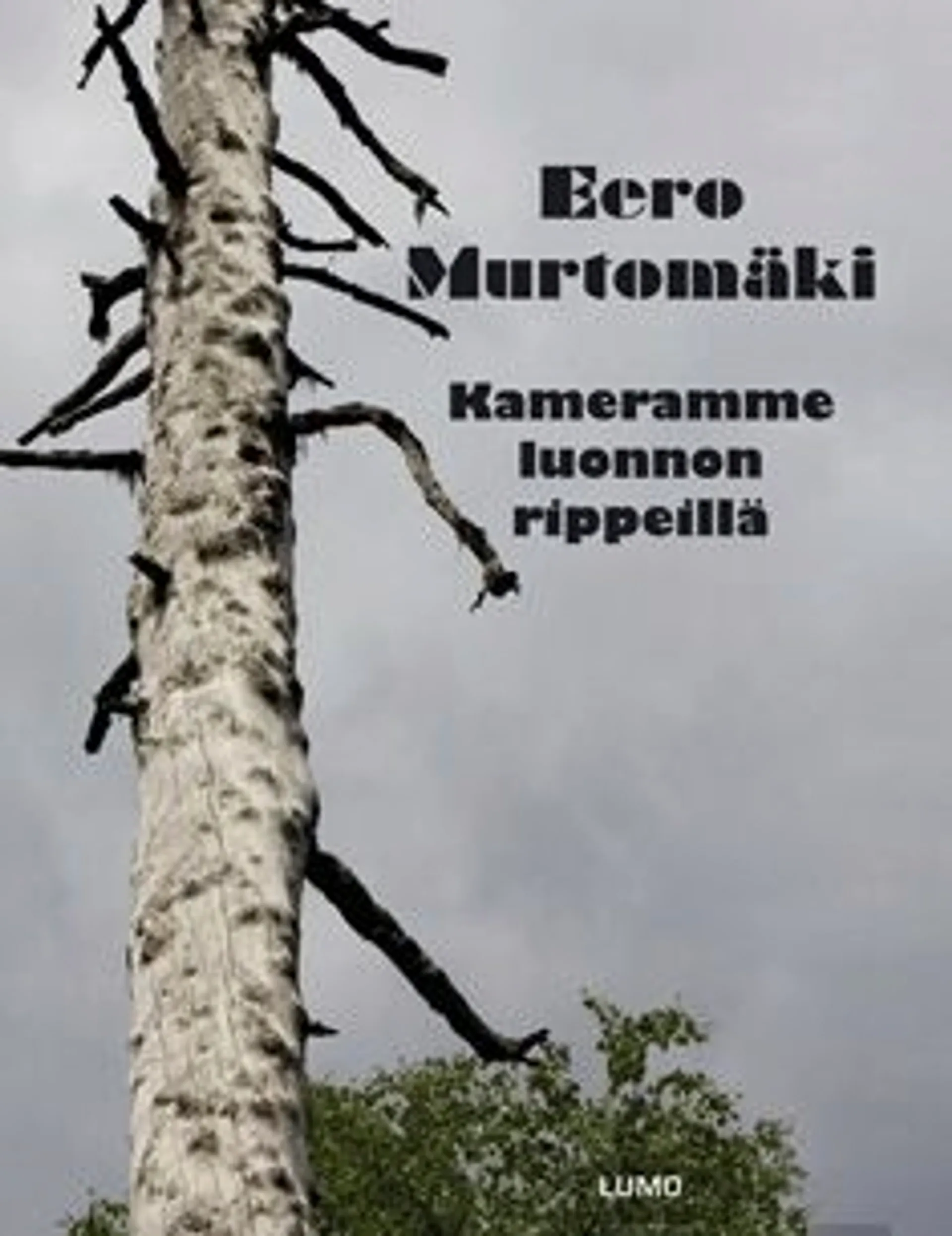 Murtomäki, Kameramme luonnon rippeillä