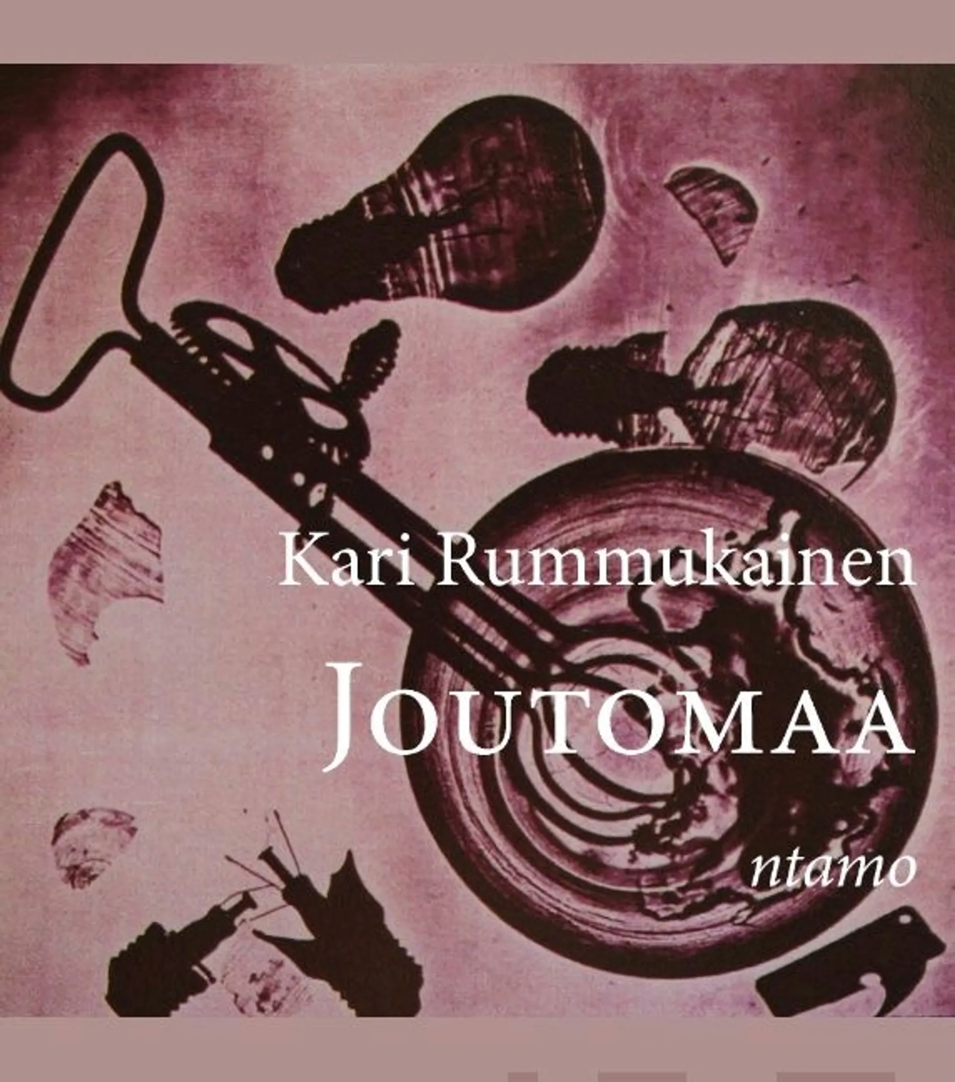 Rummukainen, Joutomaa