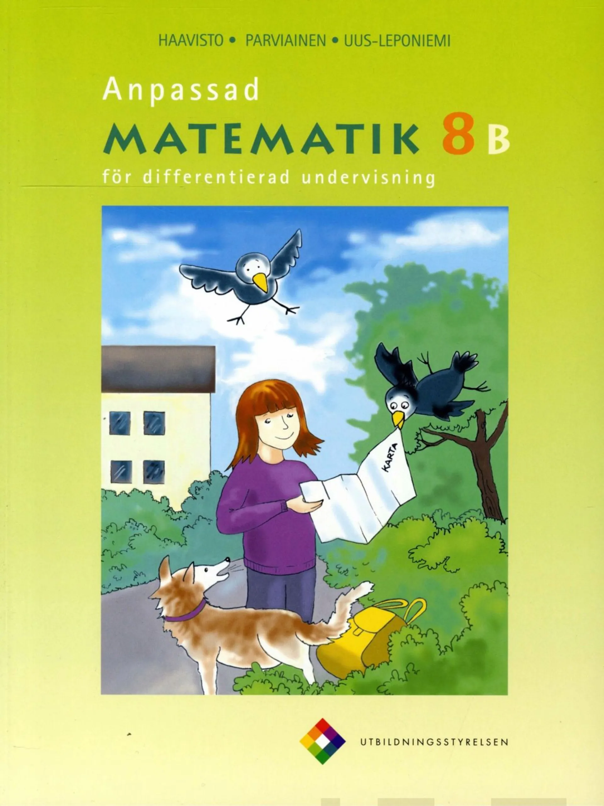 Haavisto, Anpassad matematik 8 B