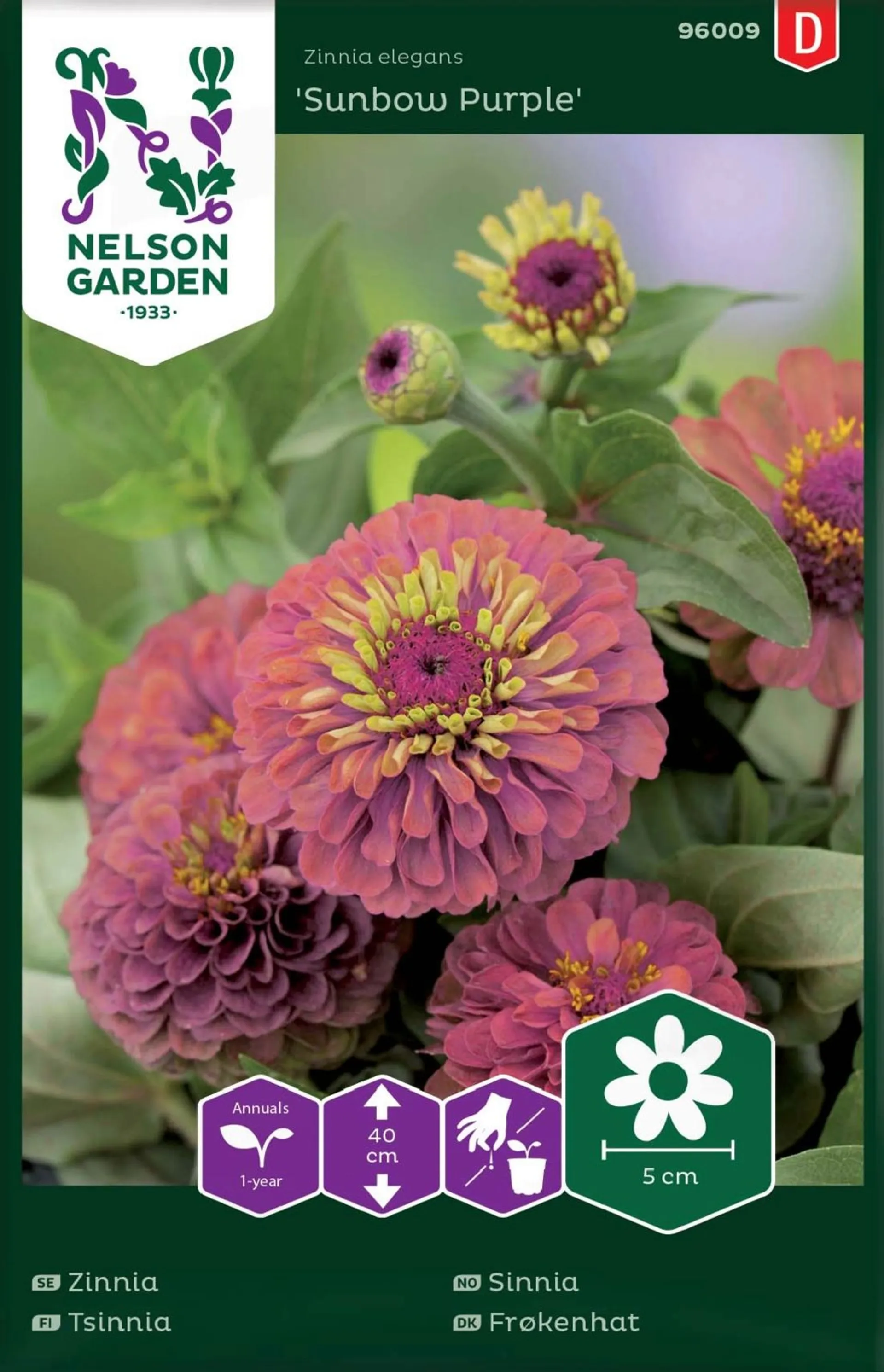 Nelson Garden Siemen Tsinnia, Iso-, Sunbow Purple