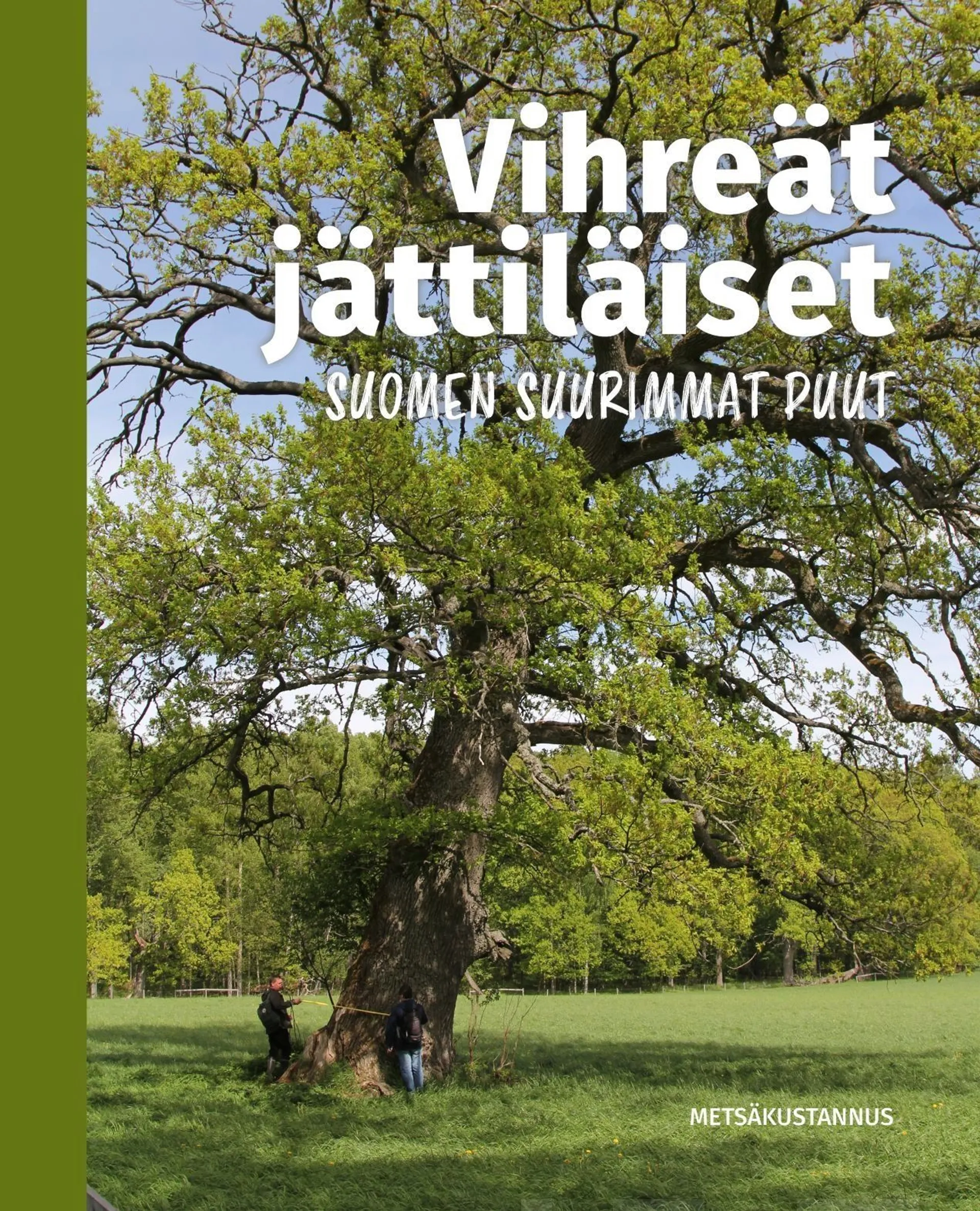 Kauppila, Vihreät jättiläiset - Suomen suurimmat puut