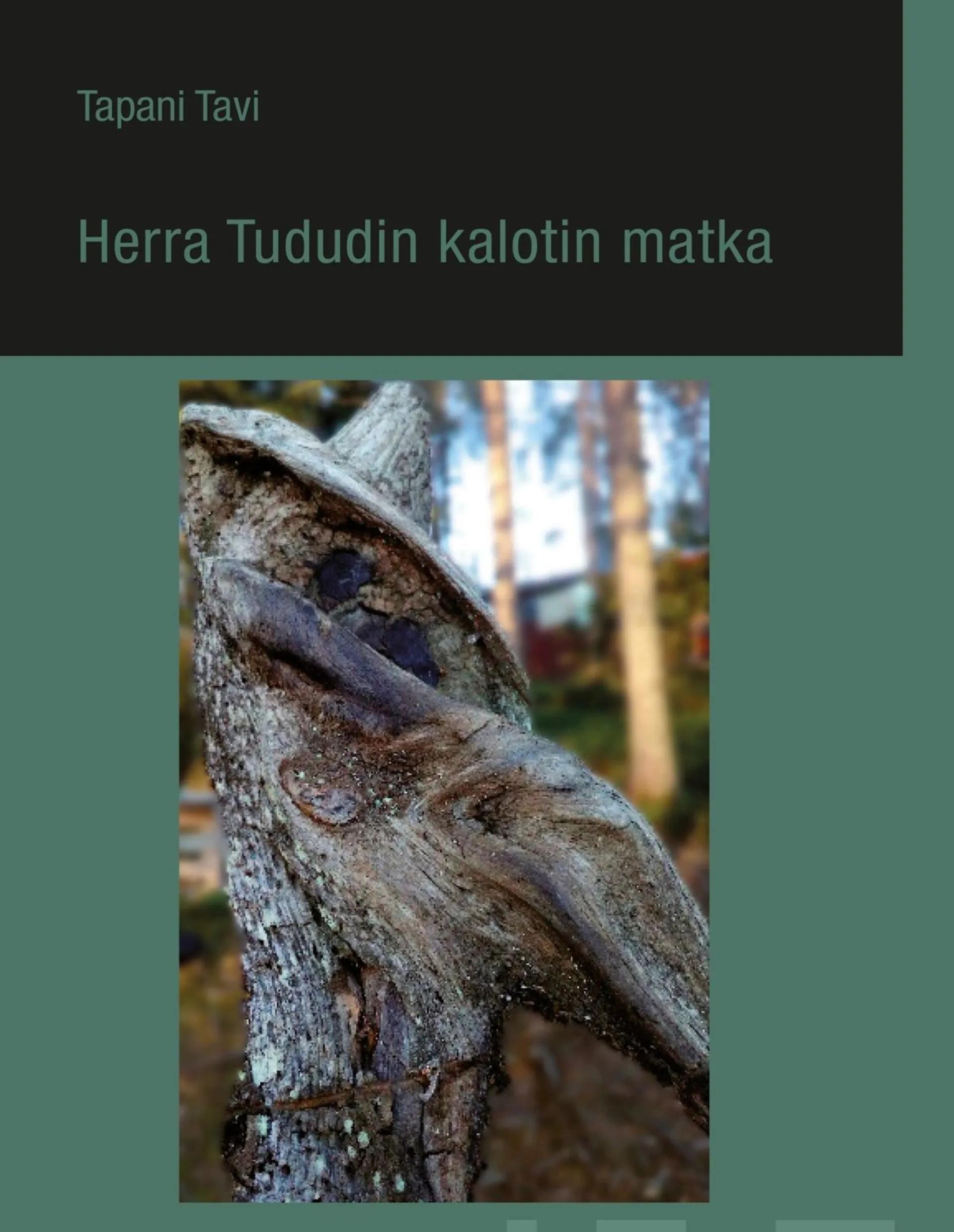 Tavi, Herra Tududin kalotin matka