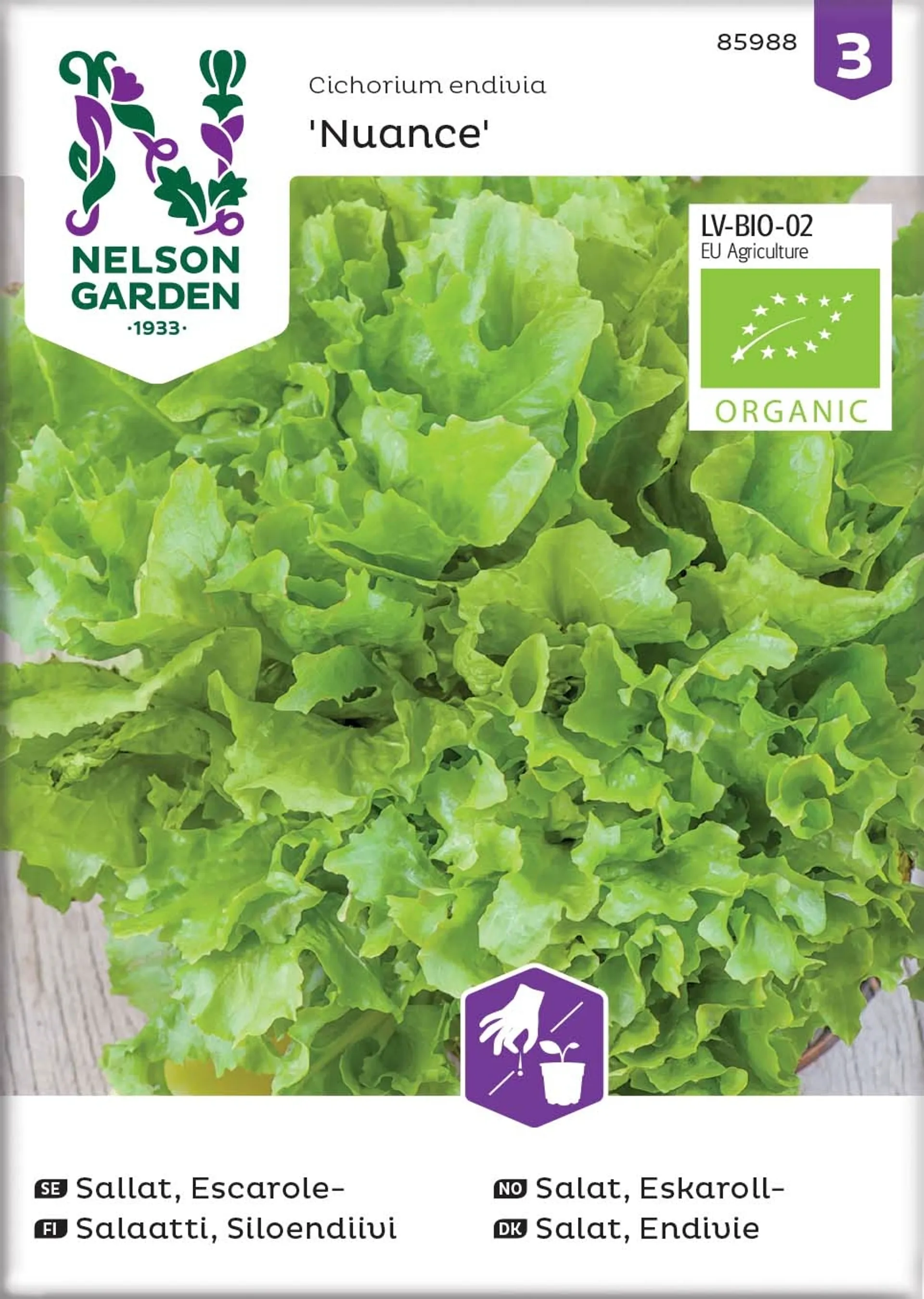 Nelson Garden Siemen Salaatti, Endiivi, Silo-, Nuance, luomu
