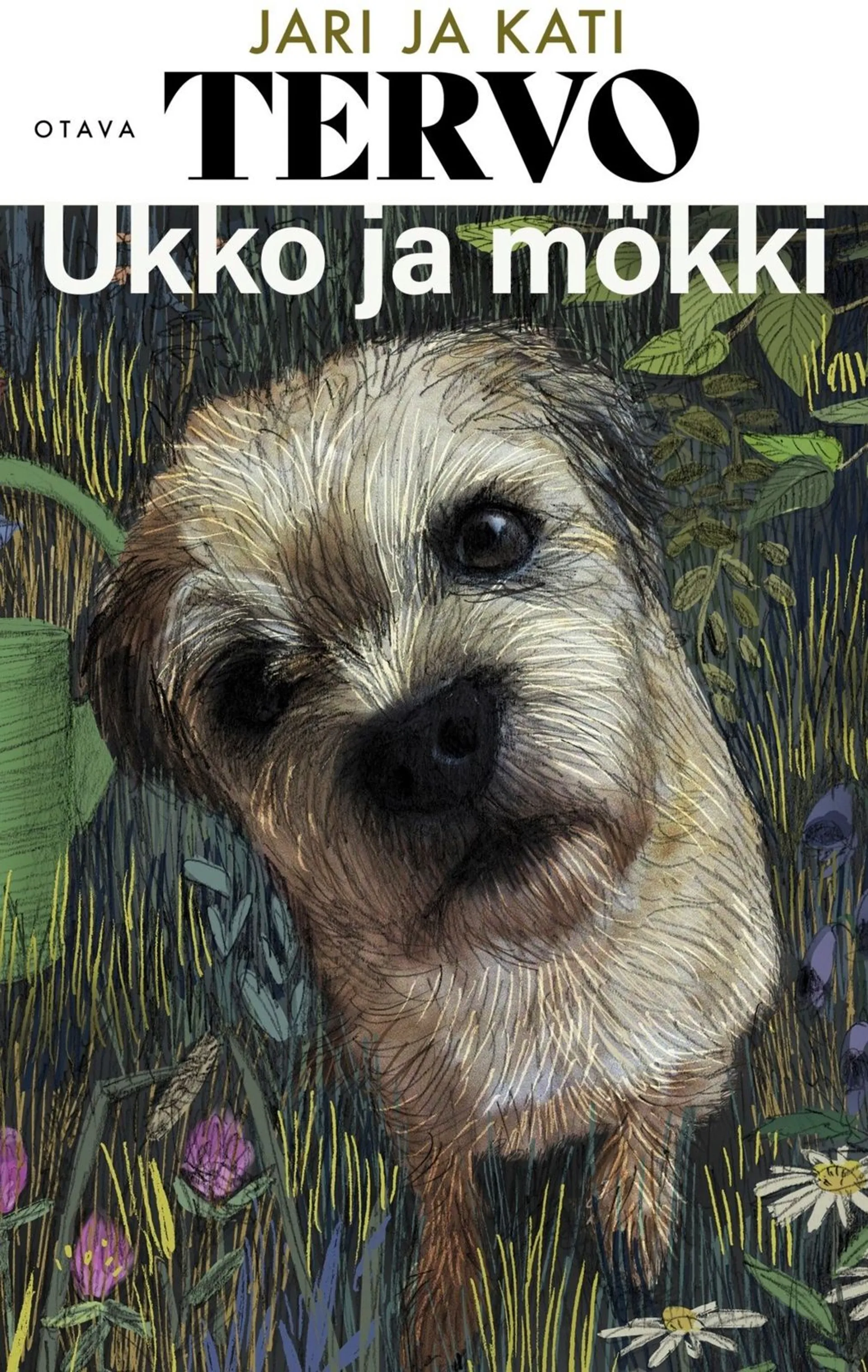 Ukko ja mökki