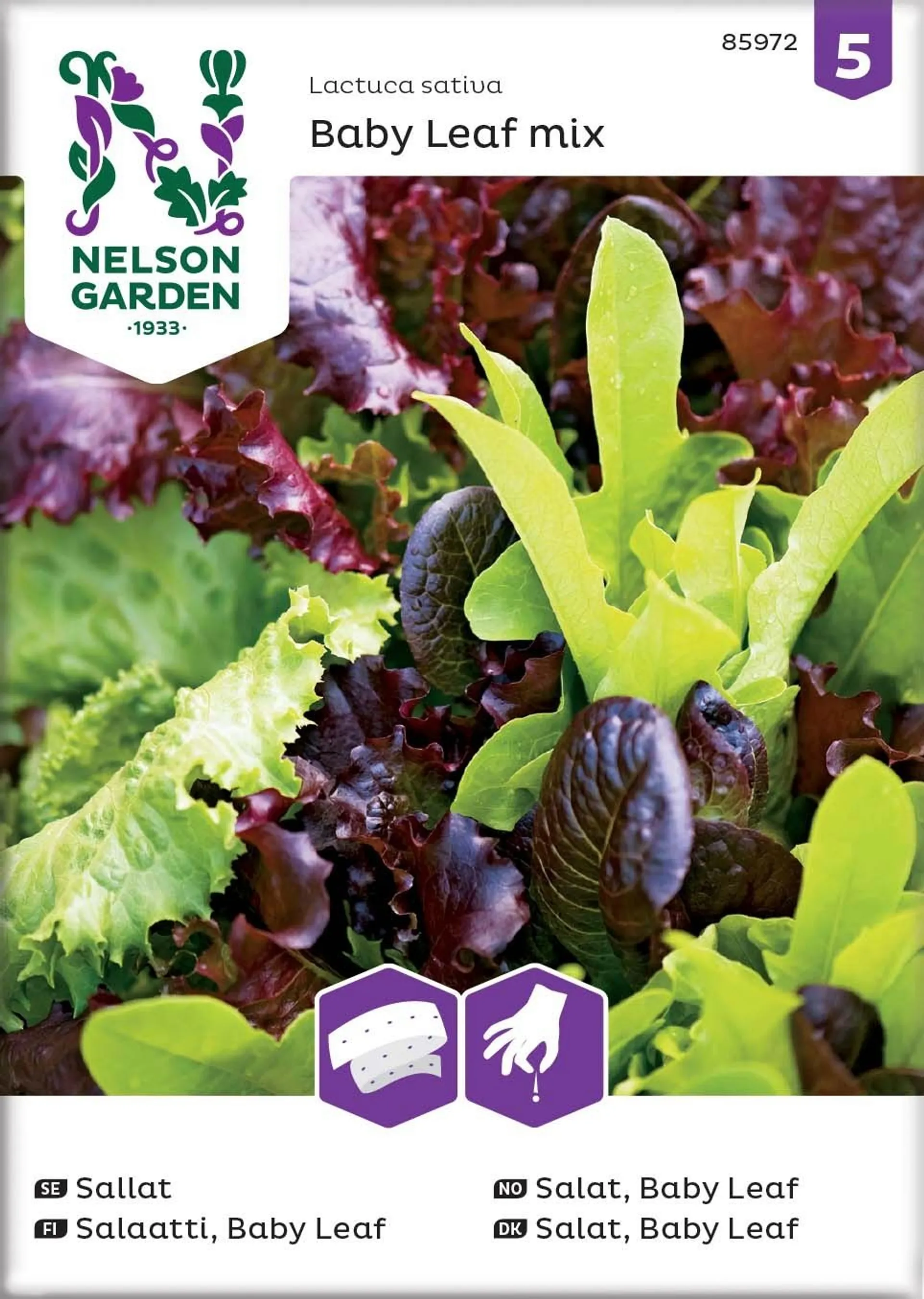 Nelson Garden Siemen Salaatti, Baby Leaf, Seos, Kylvönau