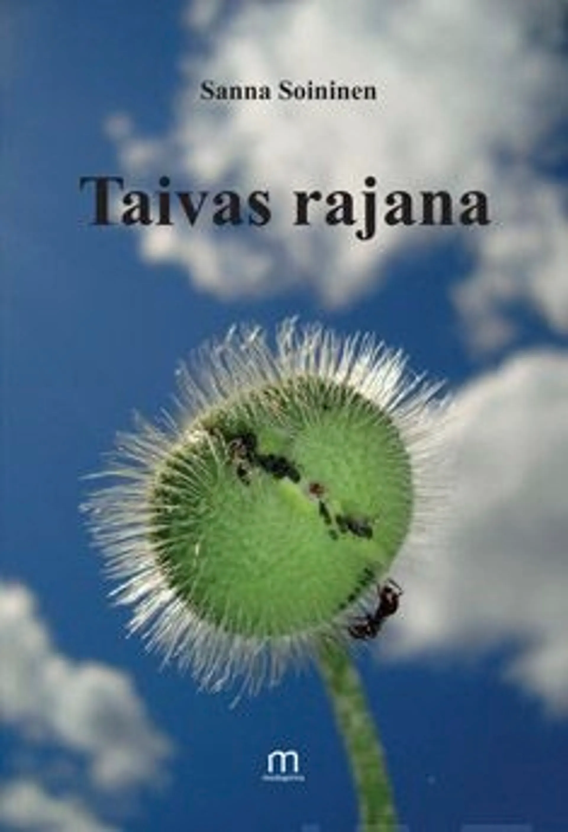 Soininen, Taivas rajana