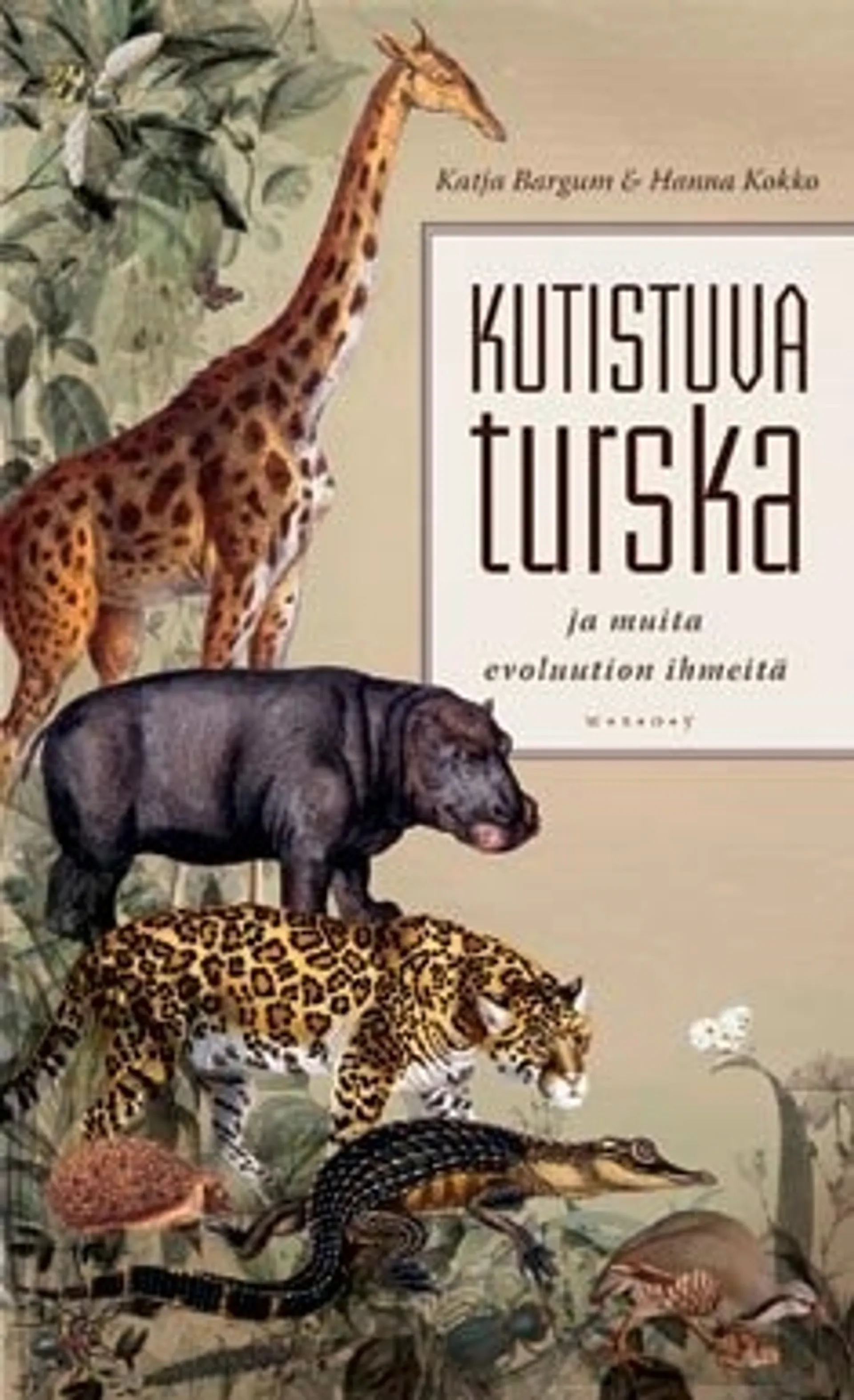 Kutistuva turska ja muita evoluution ihmeitä