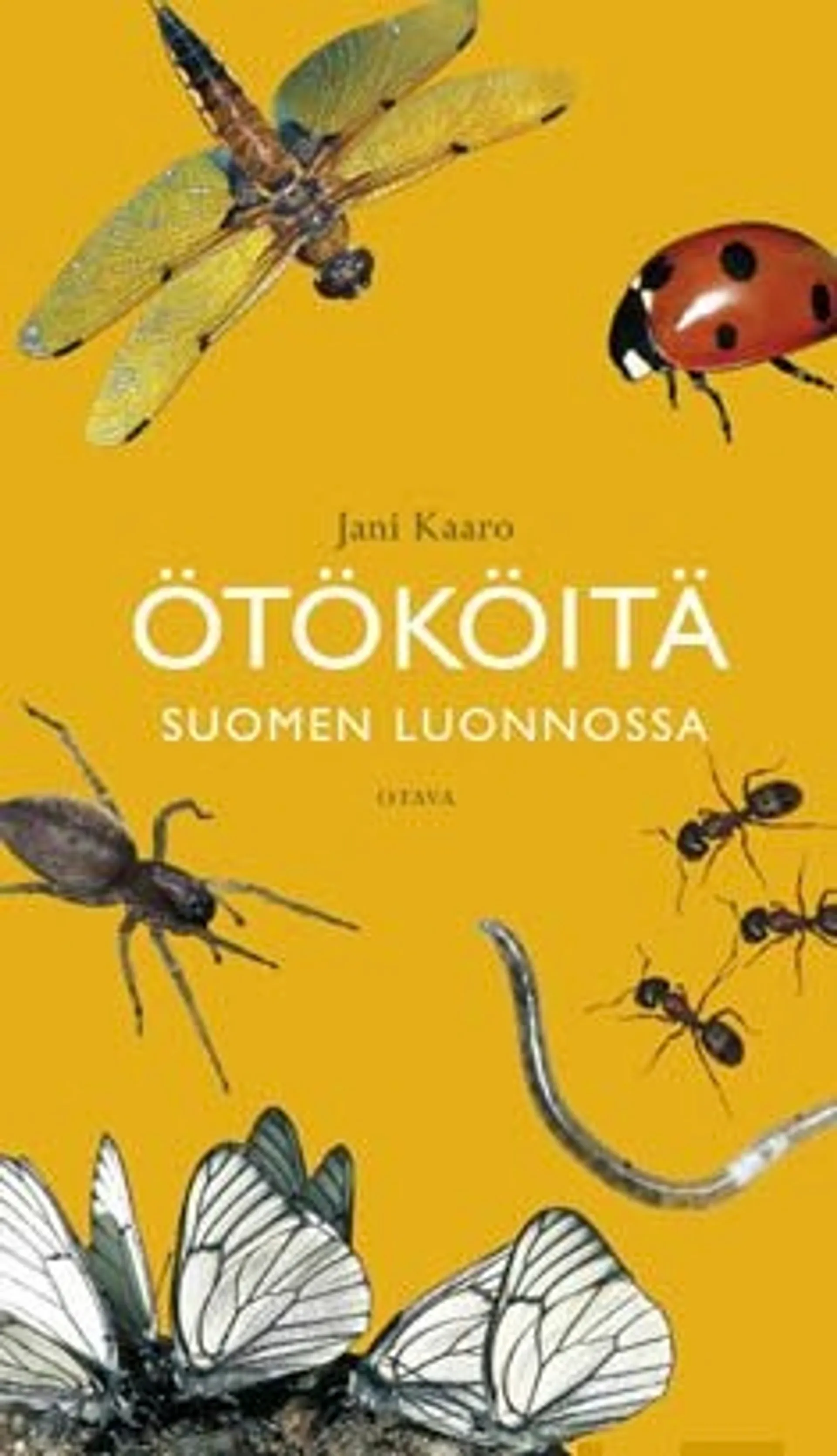 Kaaro, Ötököitä Suomen luonnossa