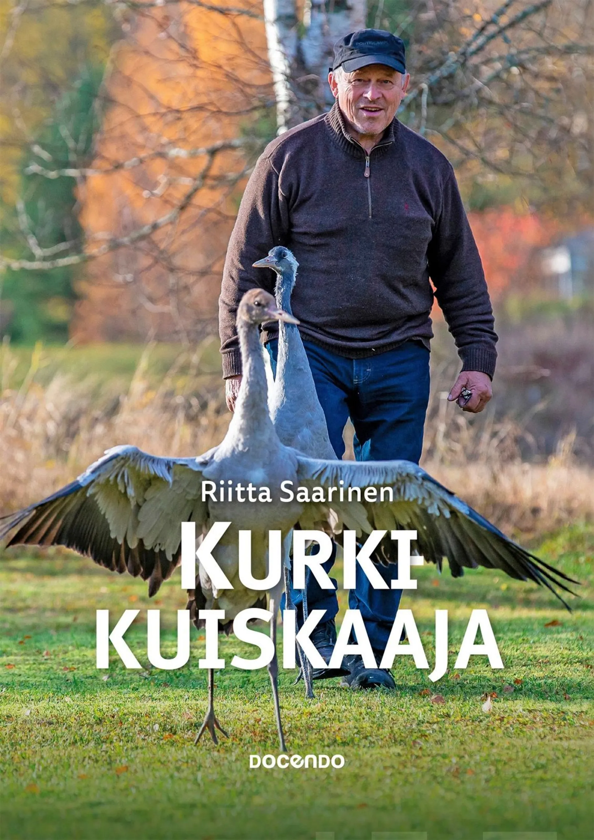 Saarinen, Kurkikuiskaaja