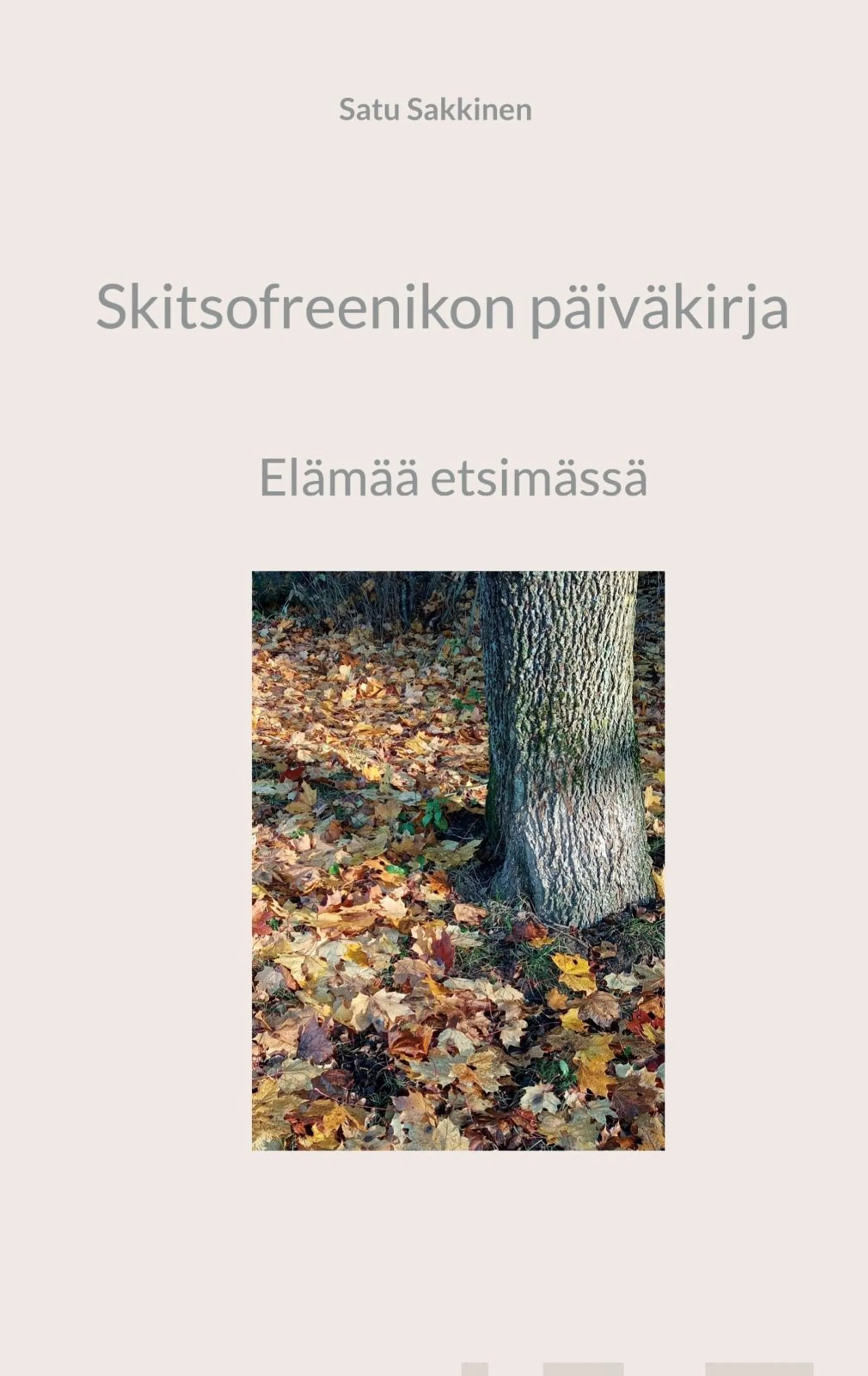 Sakkinen, Skitsofreenikon päiväkirja - Elämää etsimässä