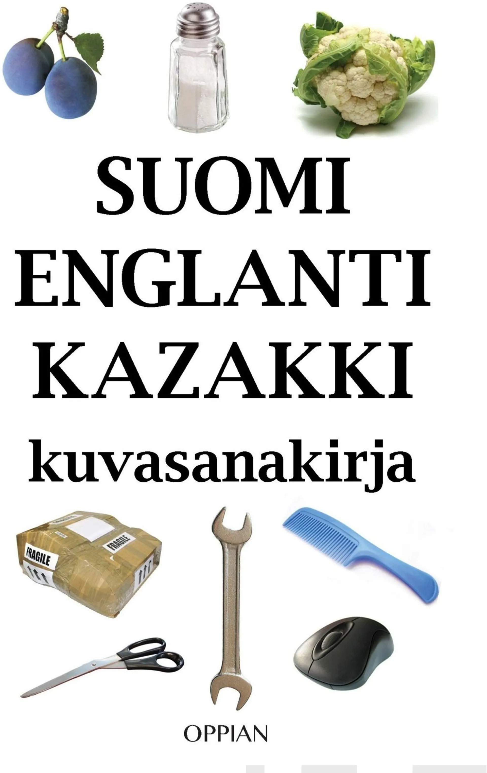 Kilpi, Suomi-englanti-kazakki kuvasanakirja