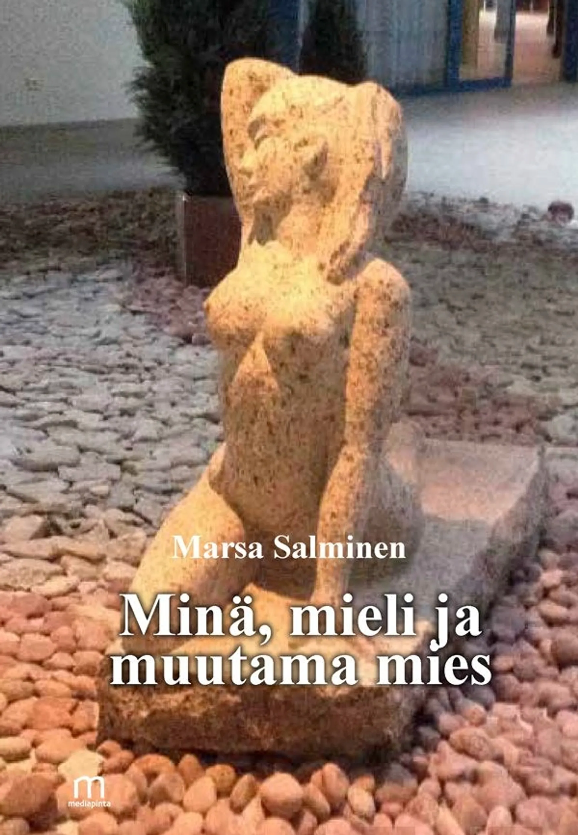 Salminen, Minä, mieli ja muutama mies