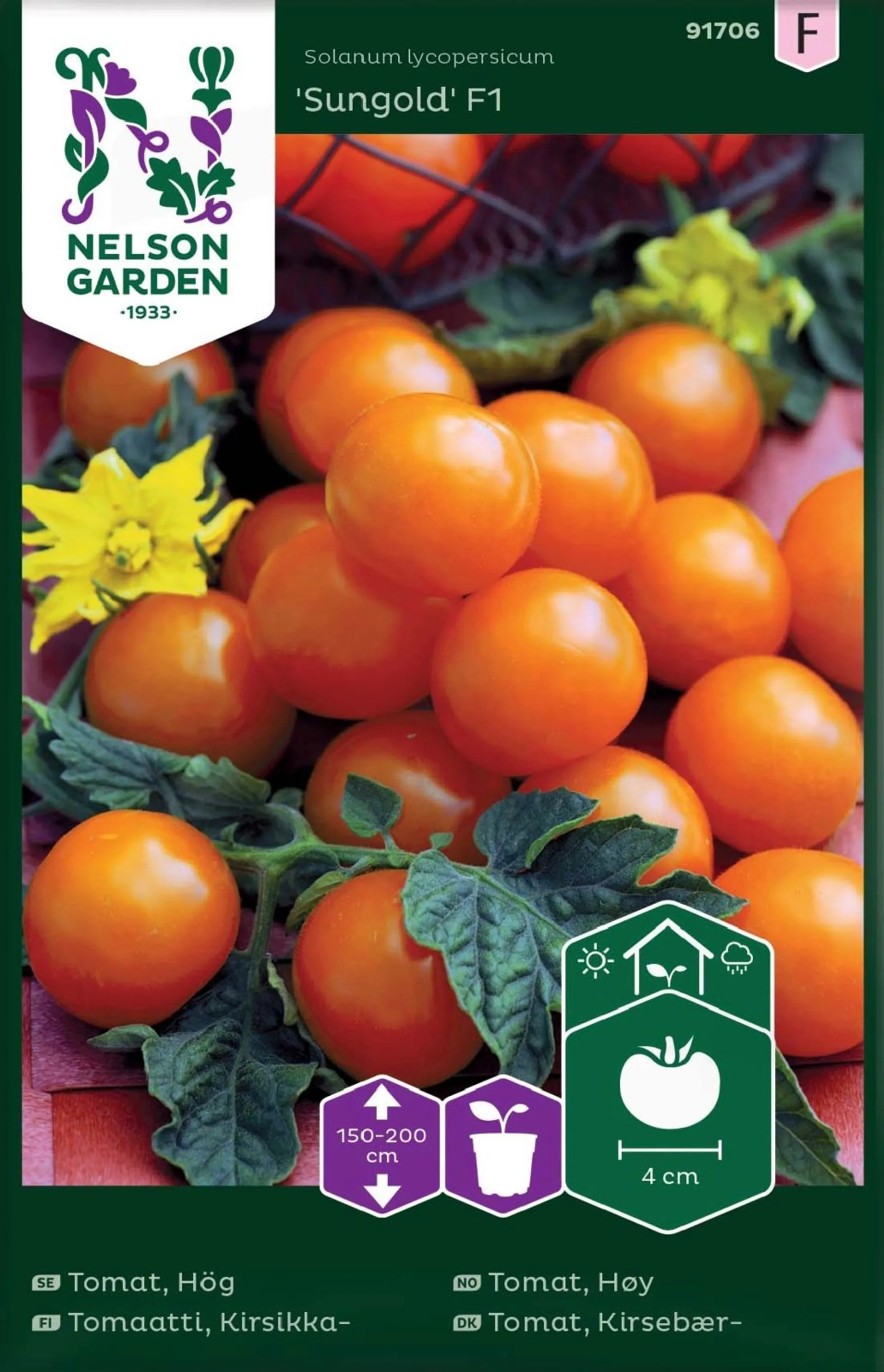 Nelson Garden Siemen Tomaatti, Kirsikka-, Sungold F1