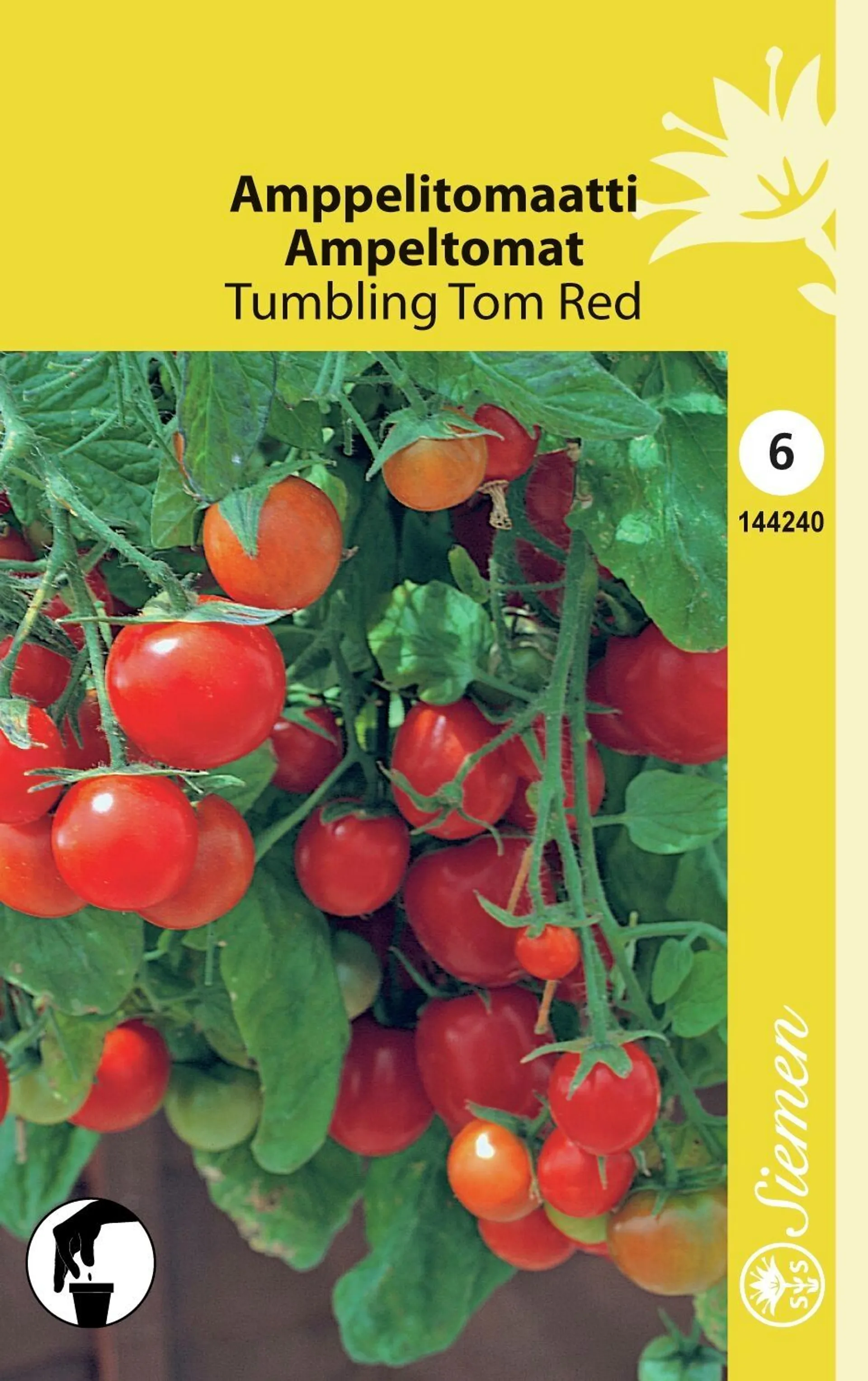 Amppelitomaatti 'Tumbling Tom Red'/Tomfall