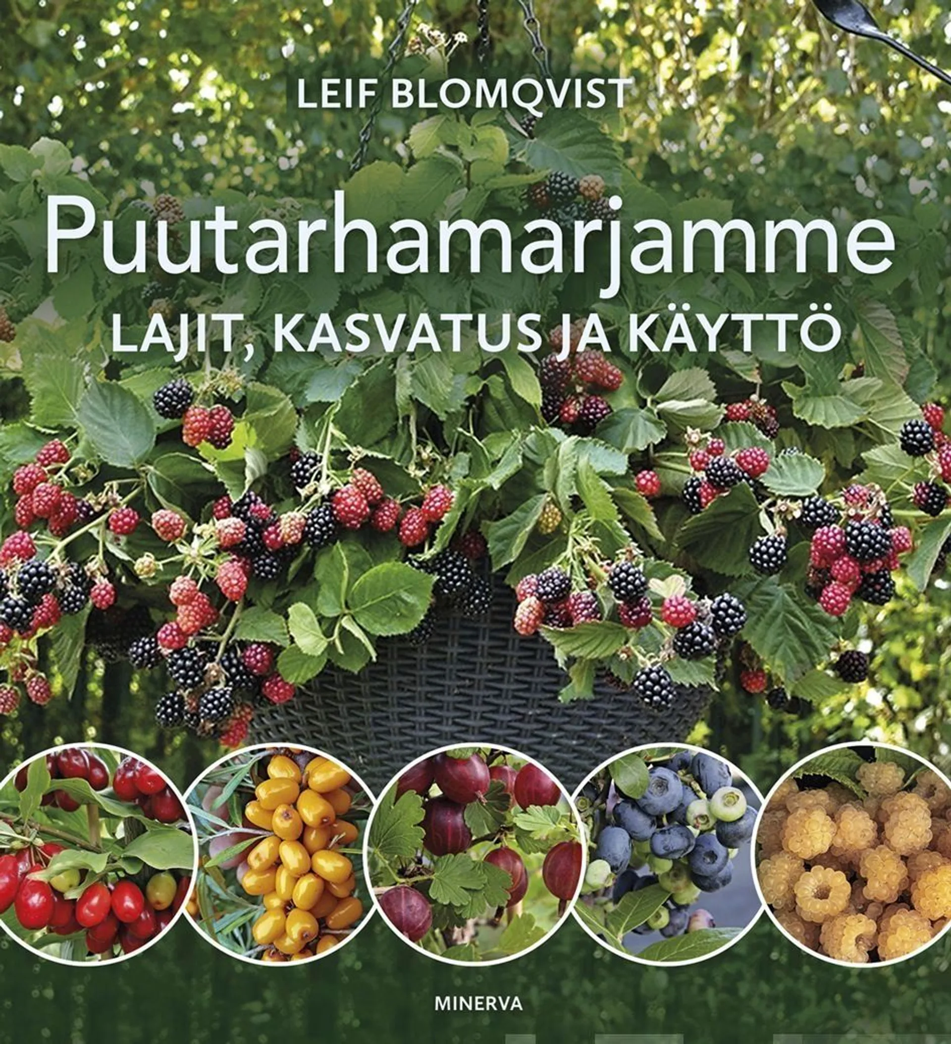 Blomqvist, Puutarhamarjamme - Lajit, kasvatus ja käyttö