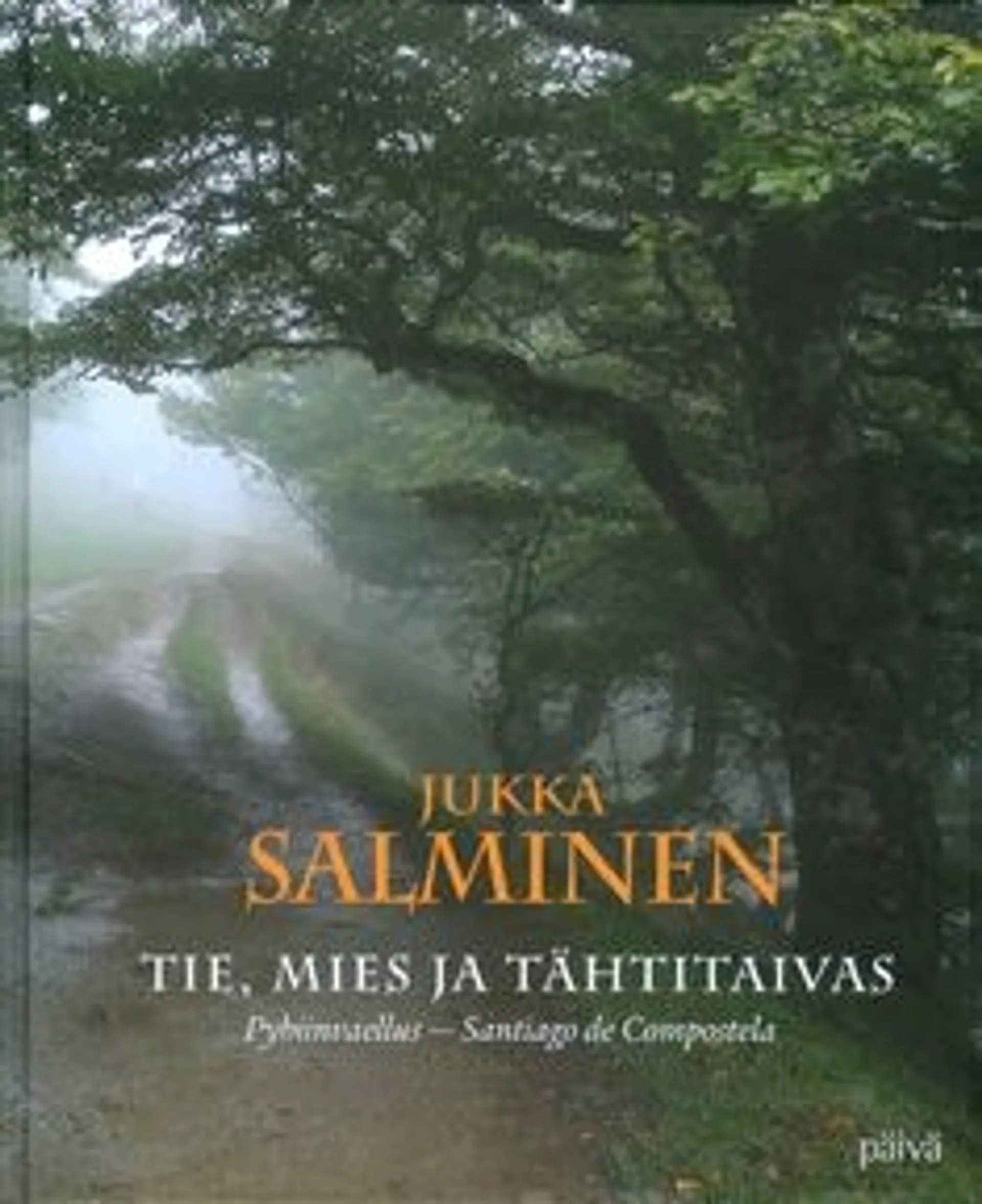 Salminen, Tie, mies ja tähtitaivas