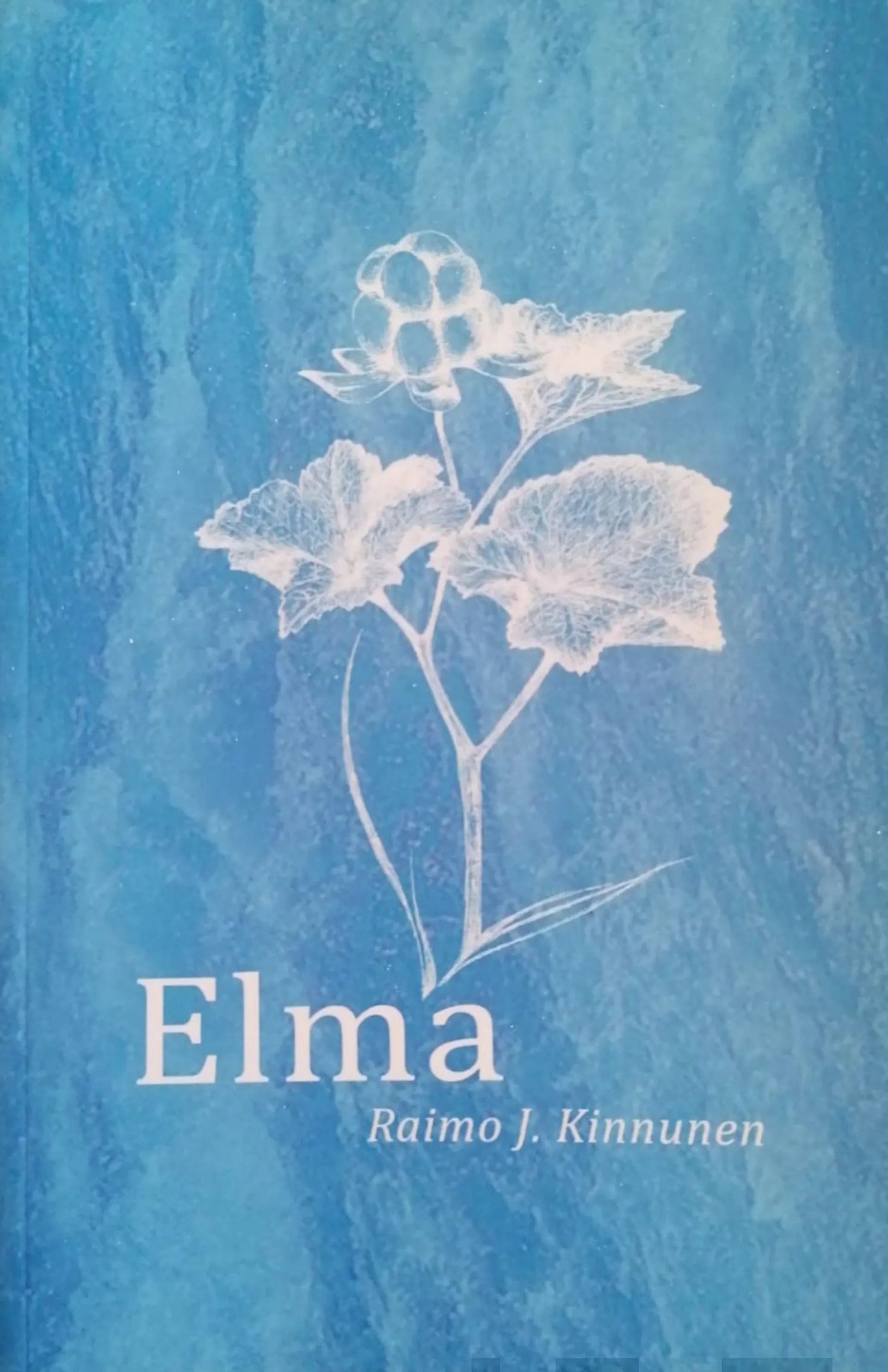 Kinnunen, Elma