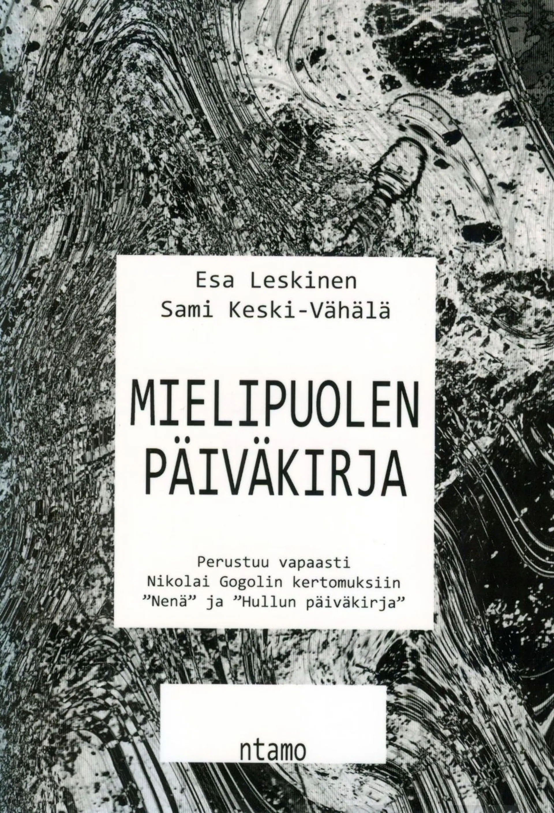 Leskinen, Mielipuolen päiväkirja