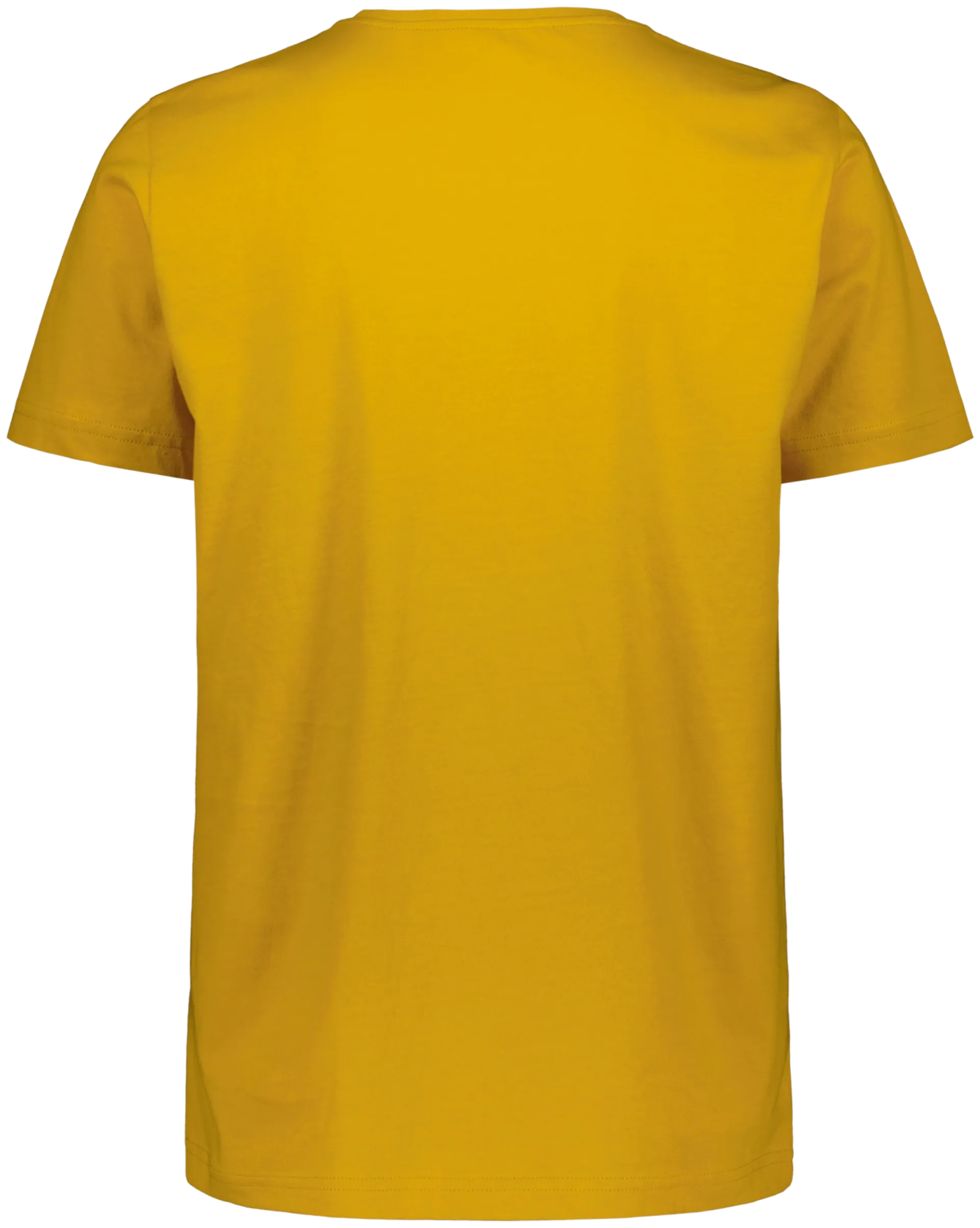 Sasta Coordinate t-paita - Golden Yellow - 2