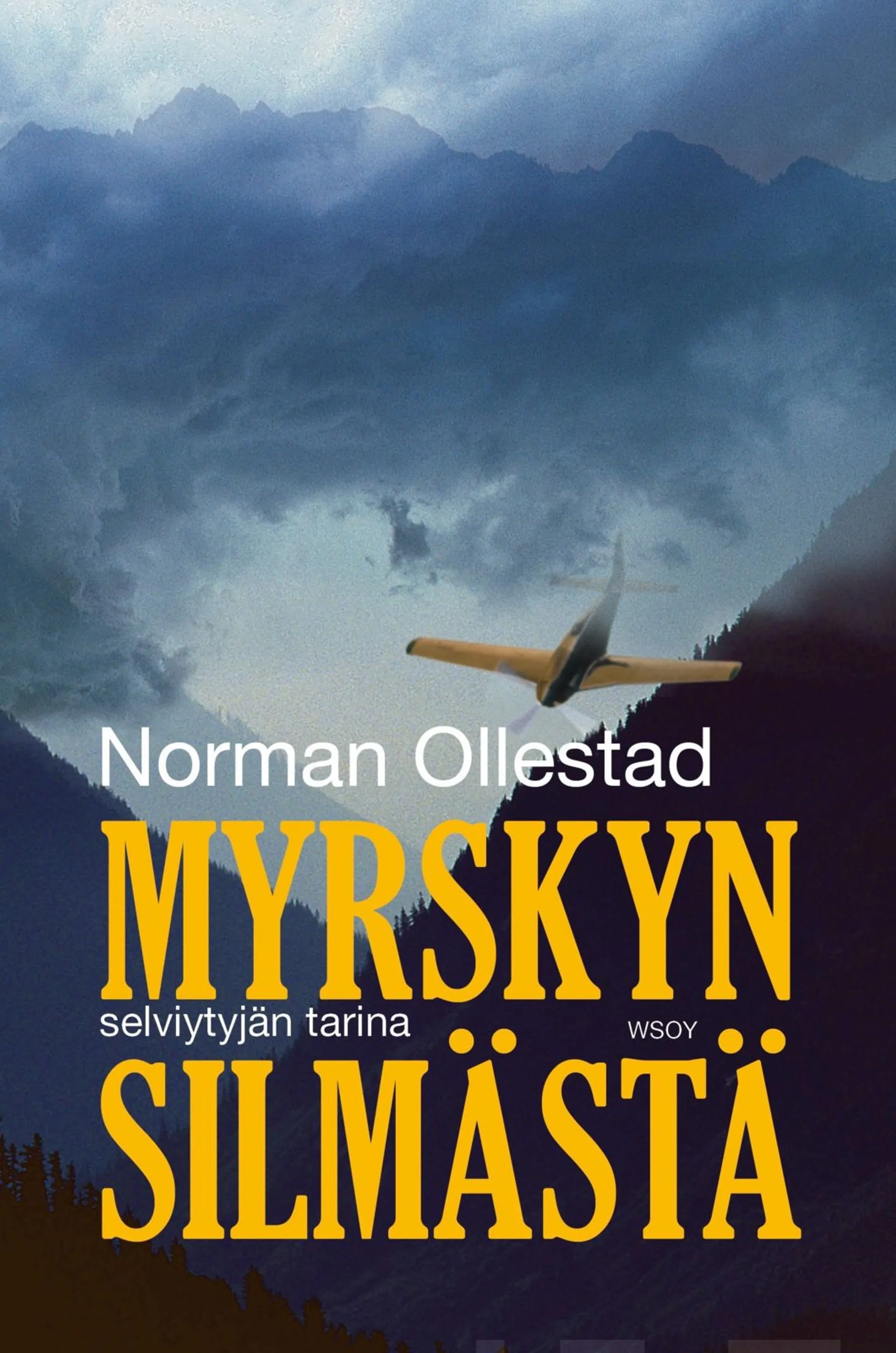 Myrskyn silmästä