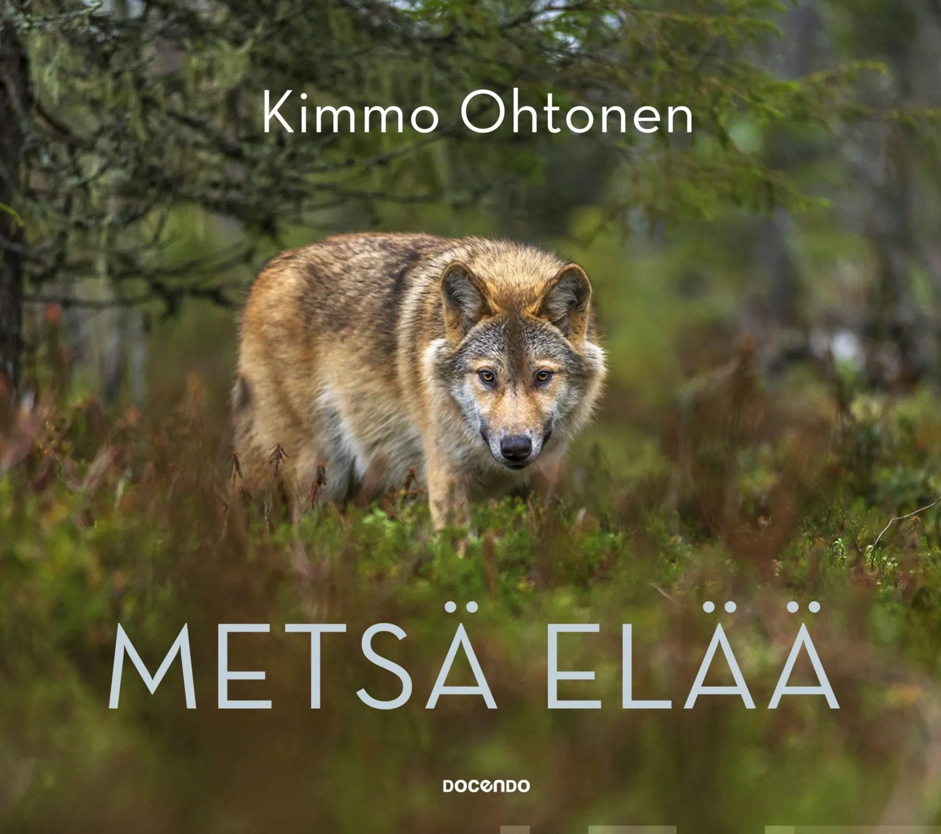 Ohtonen, Metsä elää