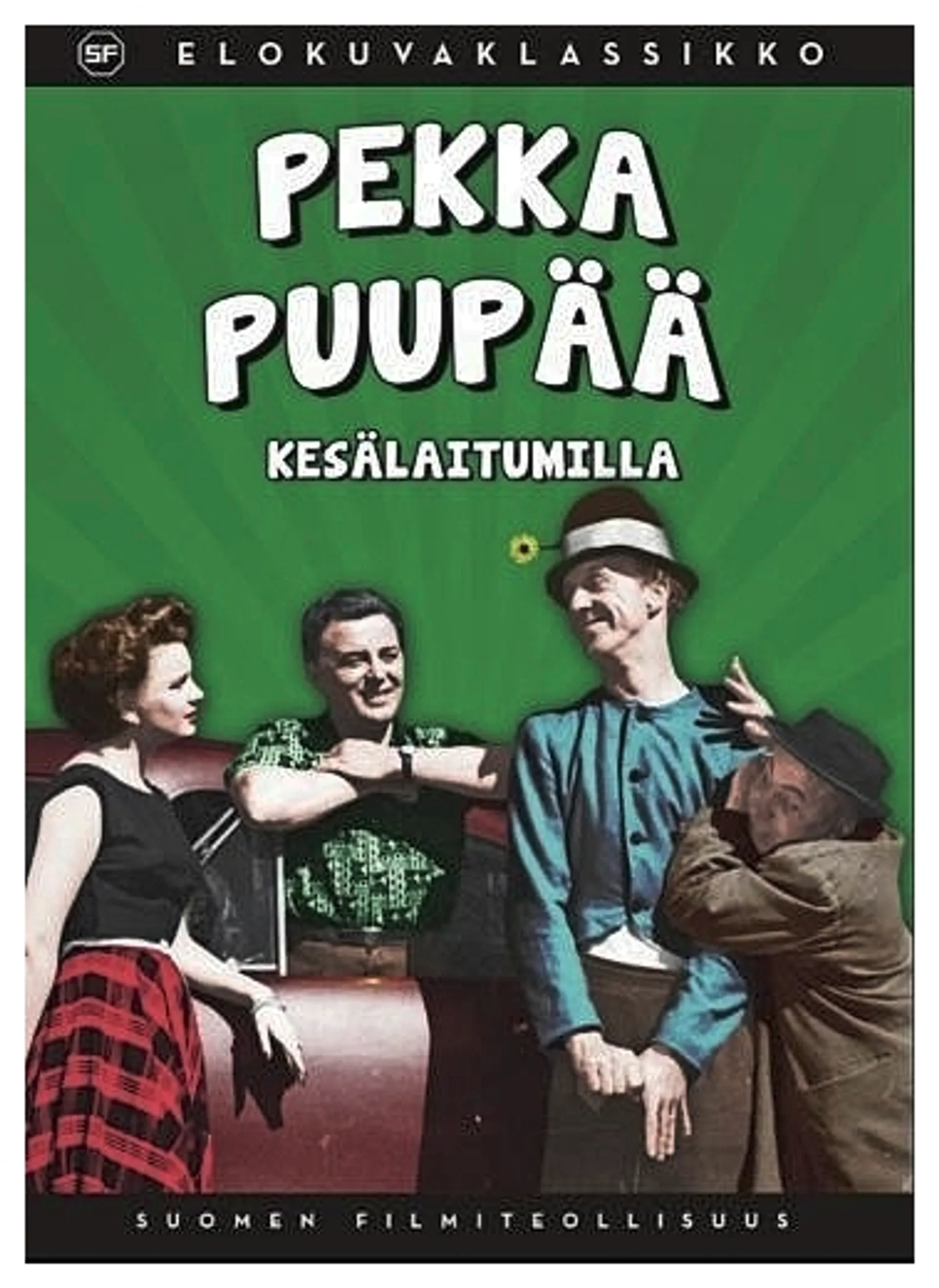 Pekka Puupää kesälaitumilla DVD