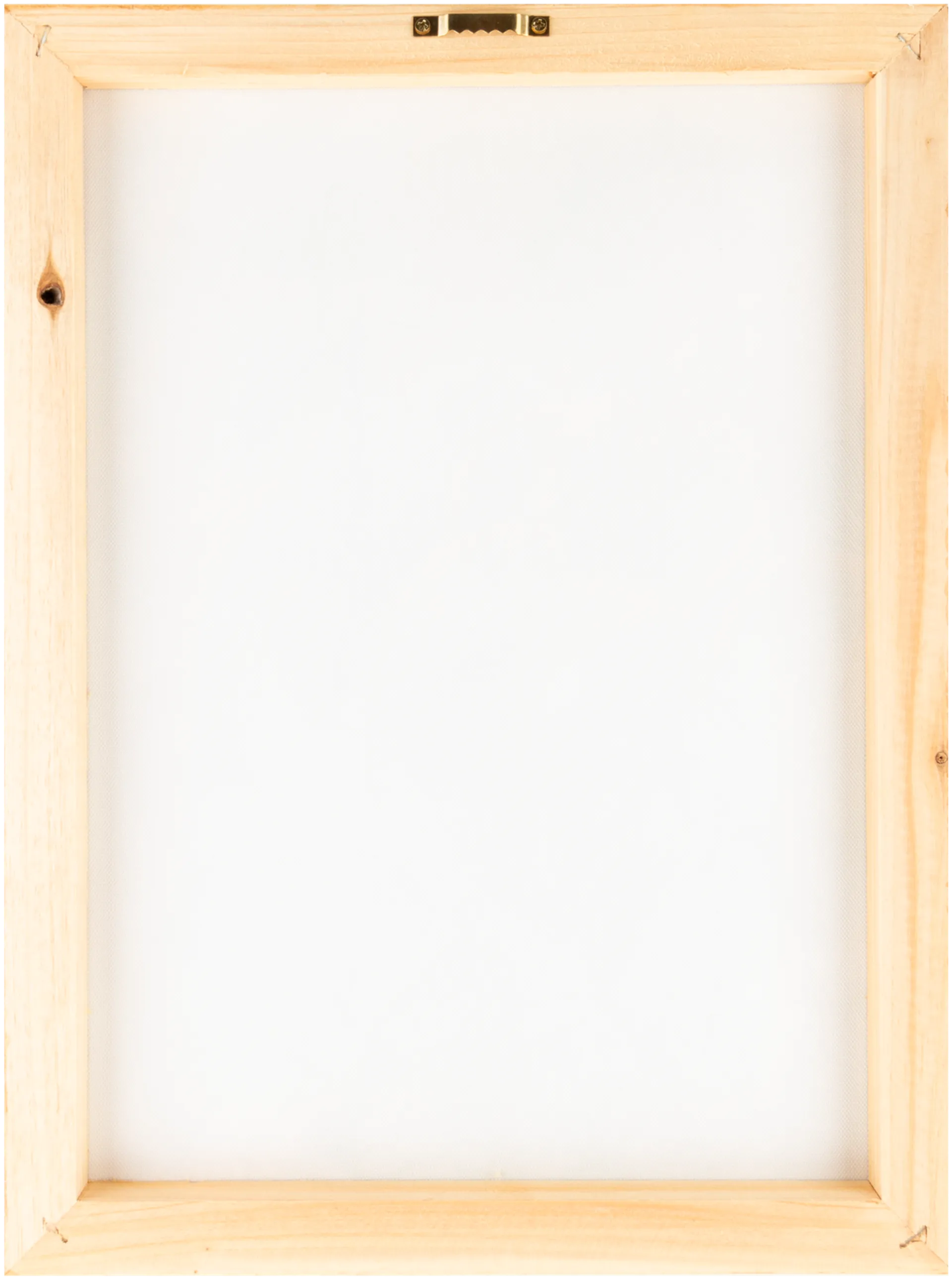 Canvastaulu Tulppaanit 30 x 40 cm - 2