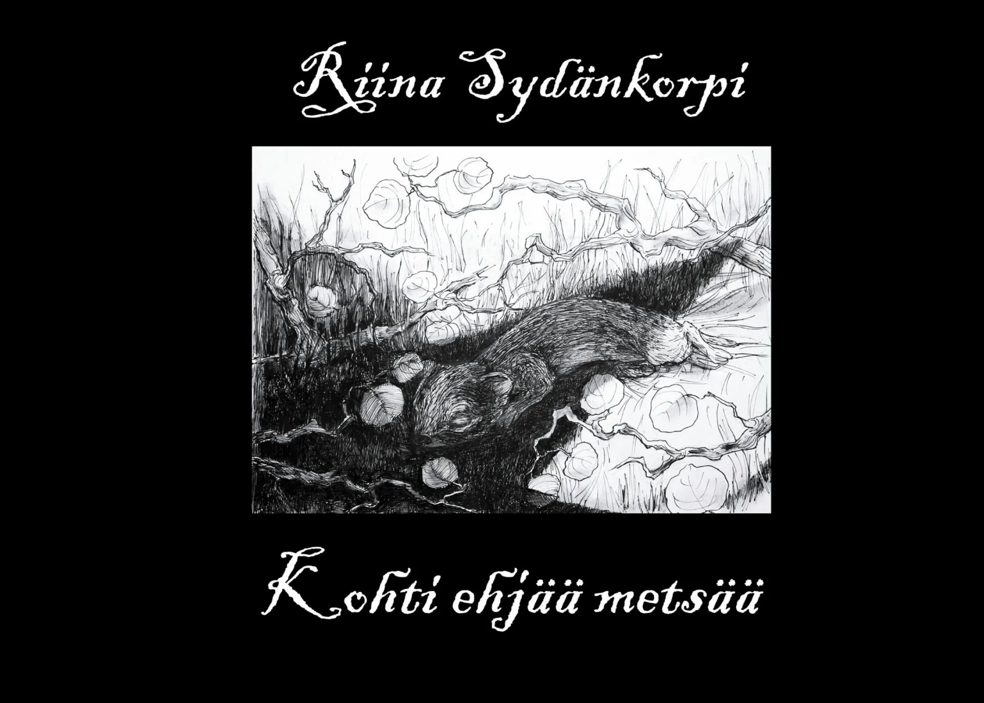 Sydänkorpi, Kohti ehjää metsää