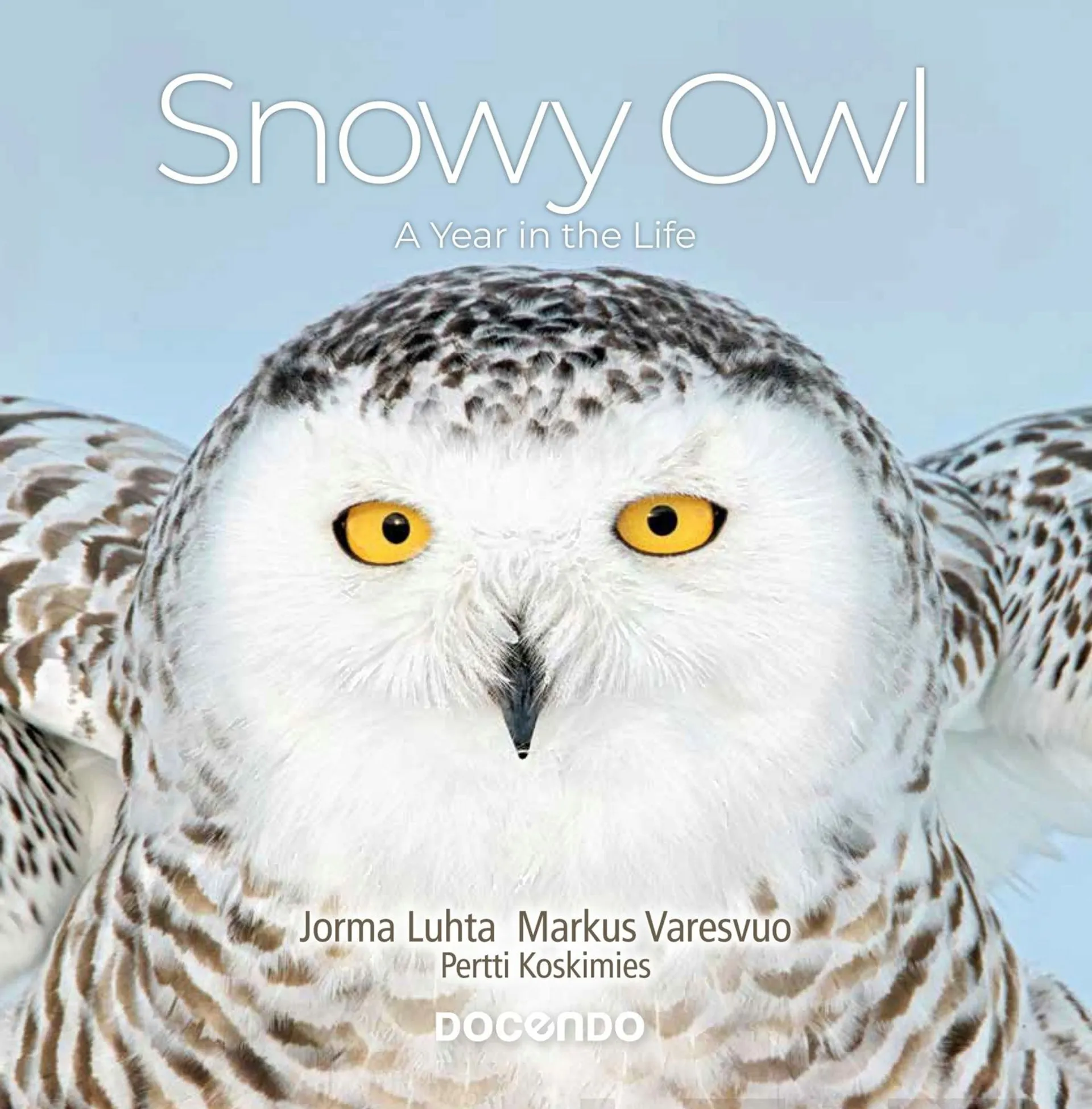 Luhta, Snowy Owl – A Year in the Life