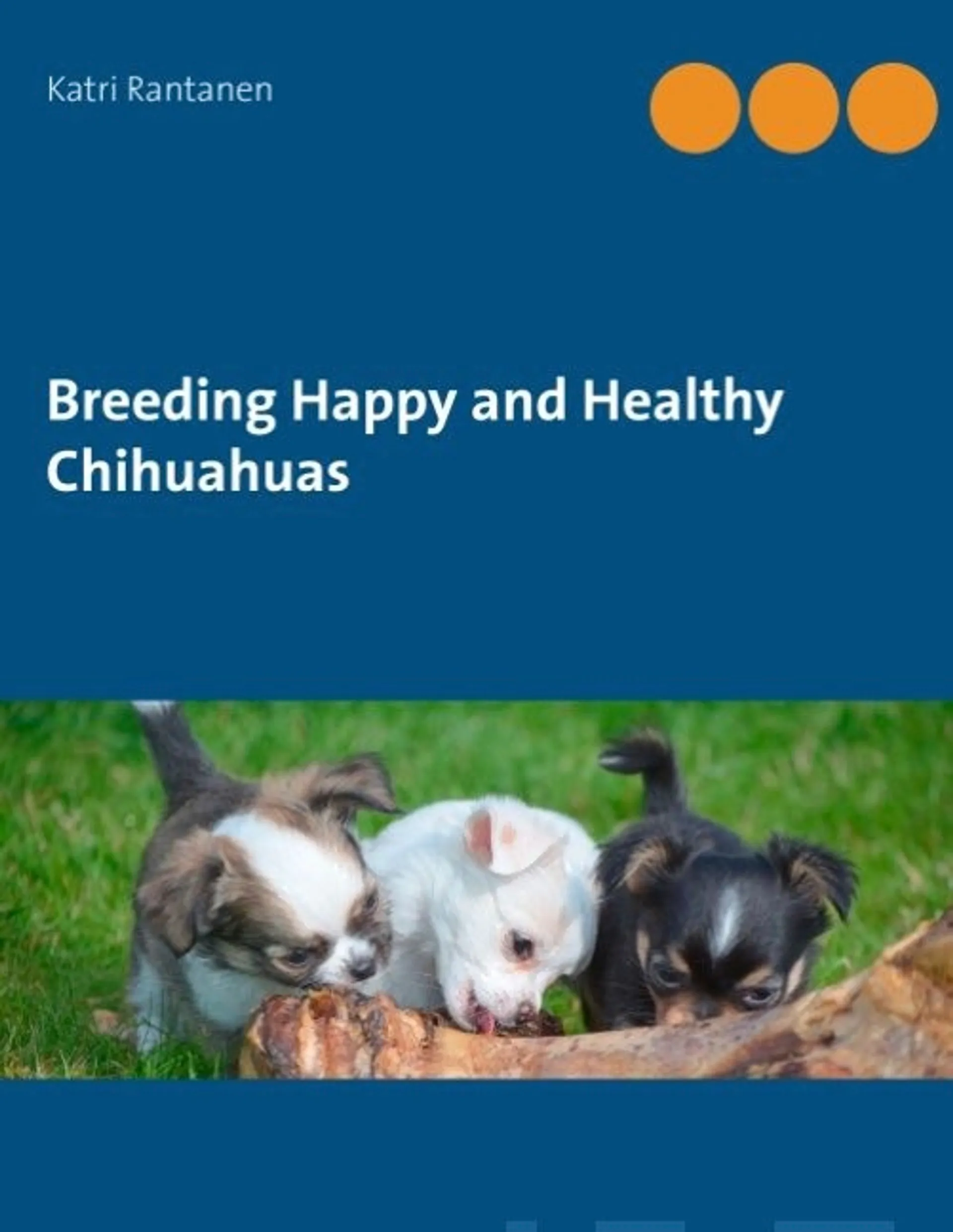 Rantanen, Breeding Happy and Healthy Chihuahuas