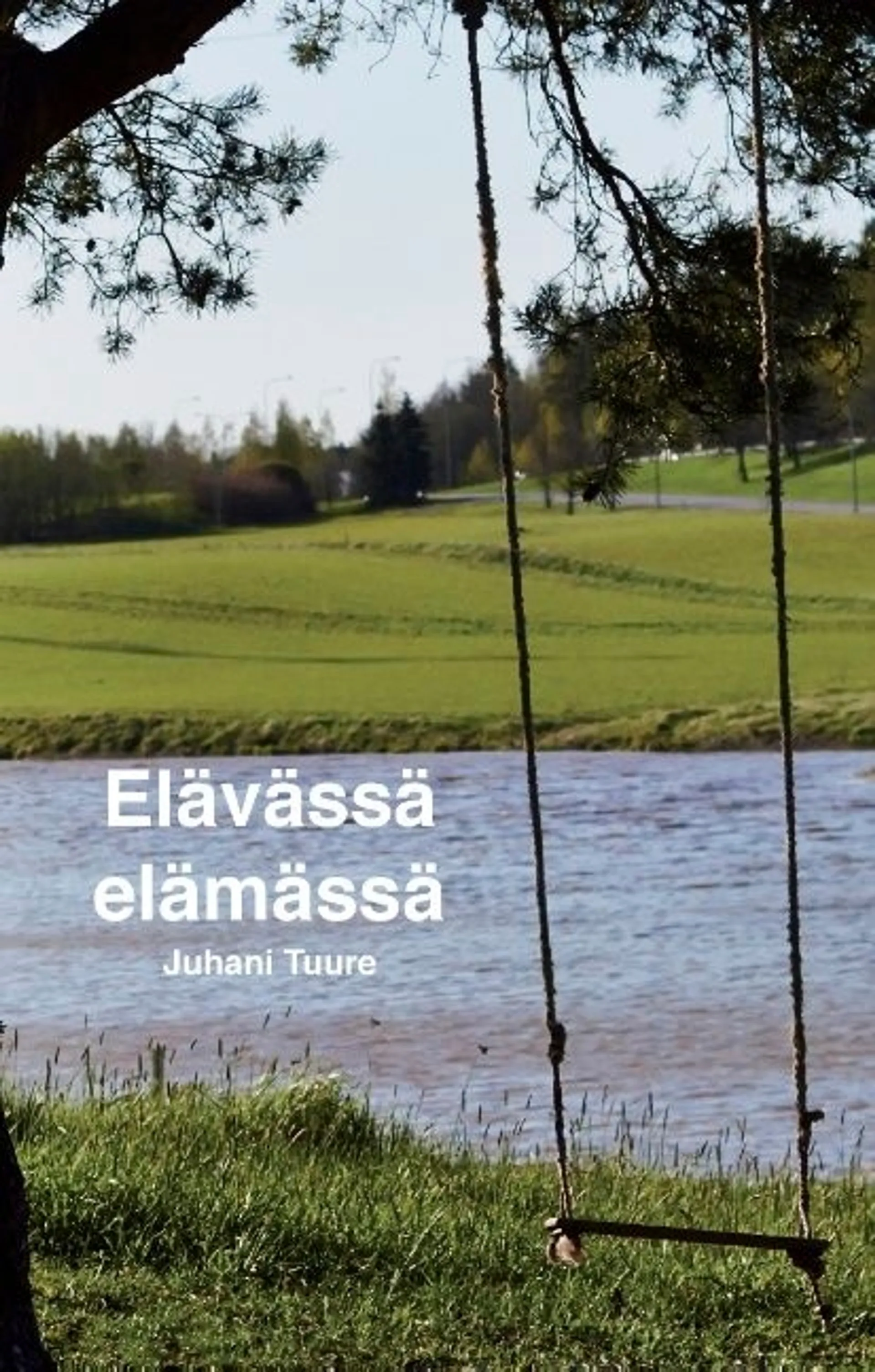 Tuure, Elävässä elämässä