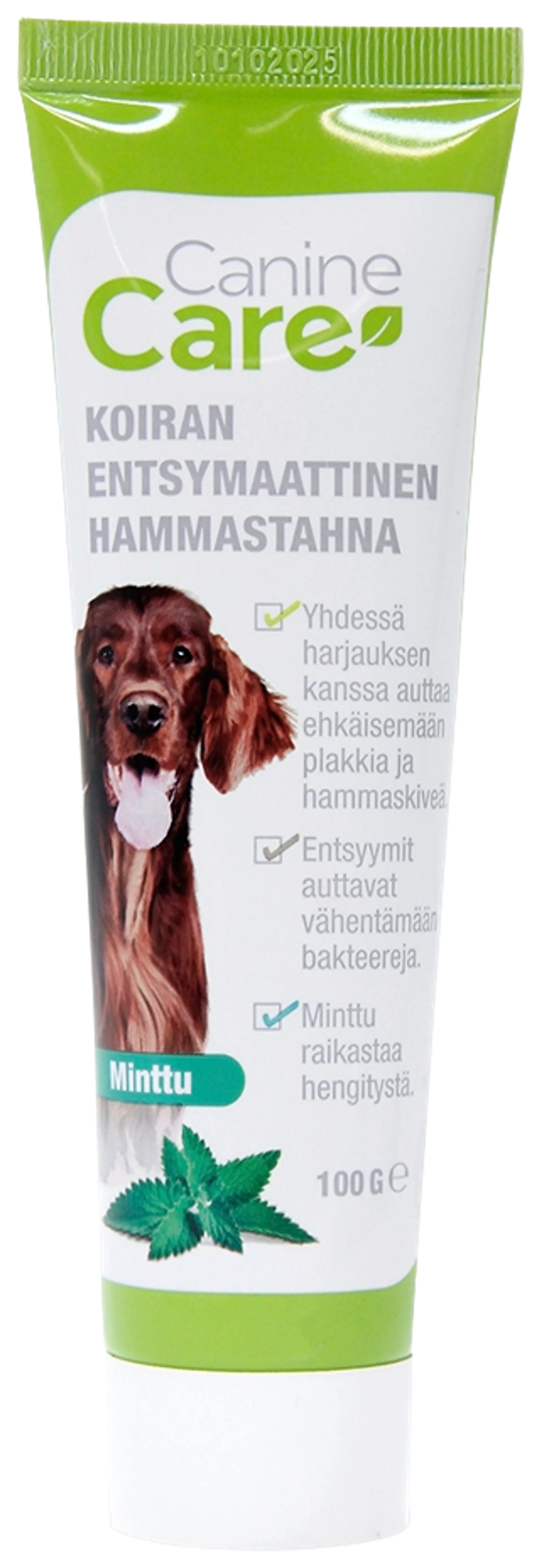 CanineCare Entsymaattinen hammastahna, minttu - 1